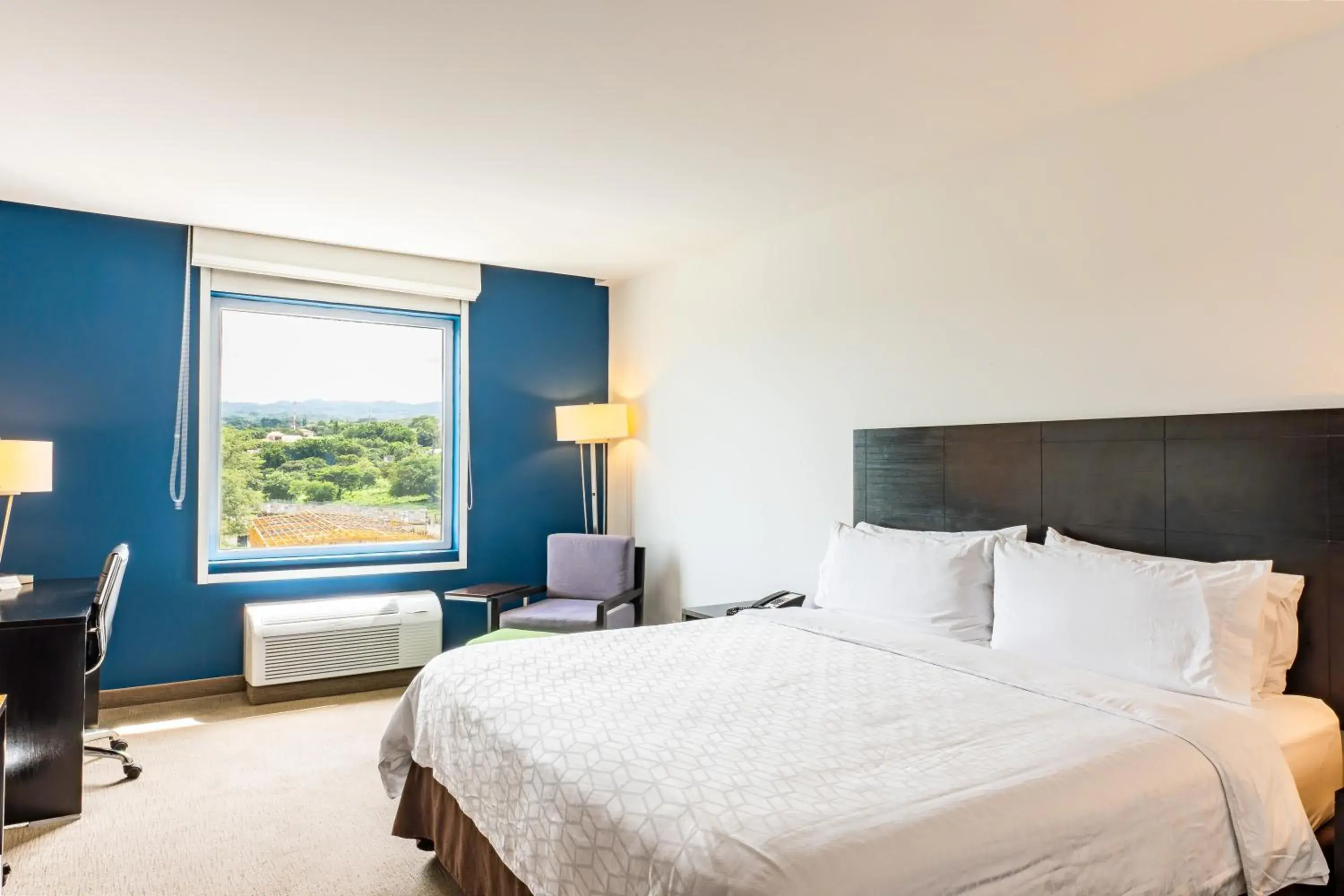 Standard King Room with Lake View - single occupancy in Holiday Inn Express Managua by IHG Standard King Room with Lake View - single occupancy in Holiday Inn Express Managua by IHG
