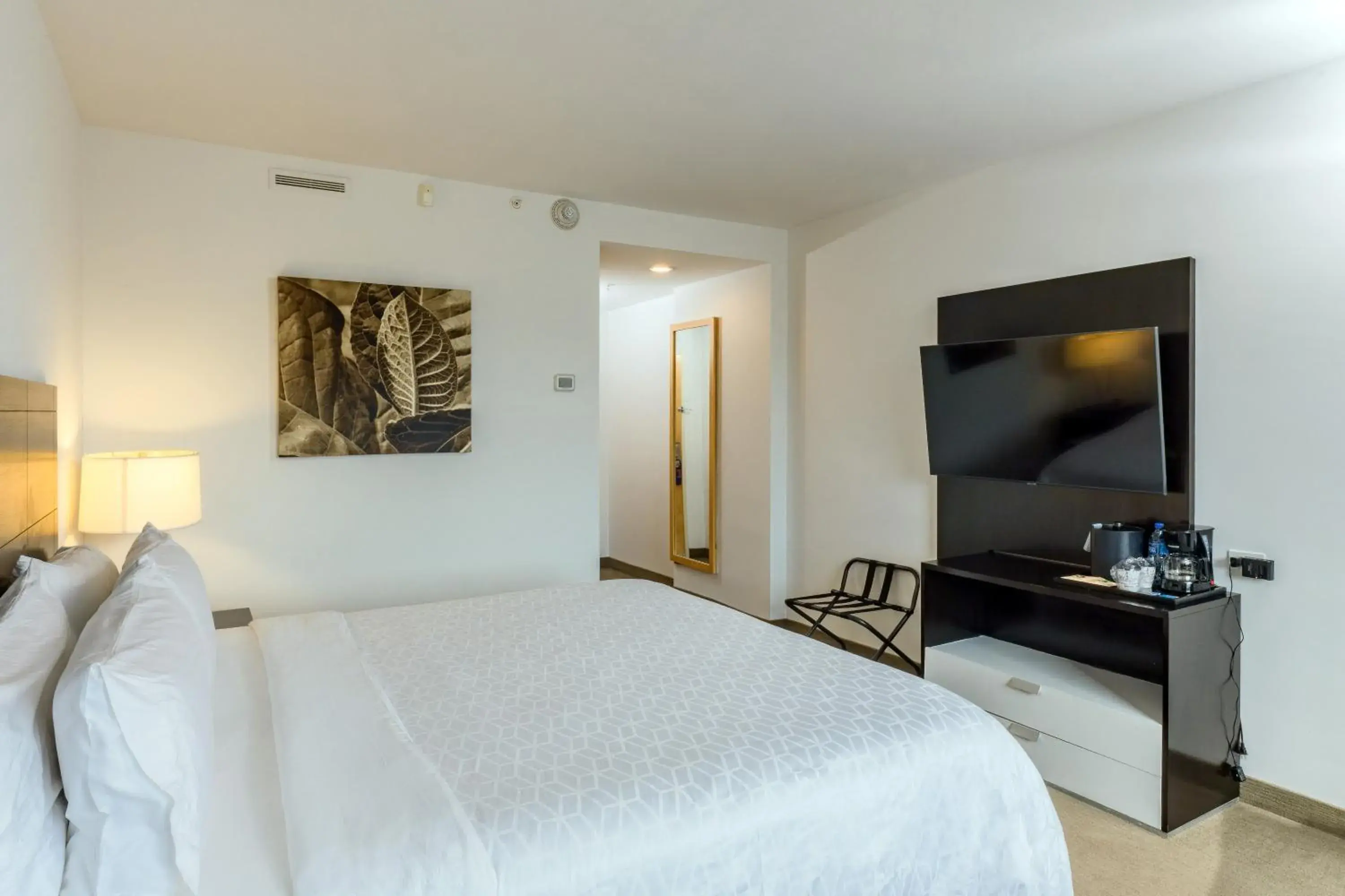 Standard King Room with Lake View - single occupancy in Holiday Inn Express Managua by IHG Standard King Room with Lake View - single occupancy in Holiday Inn Express Managua by IHG