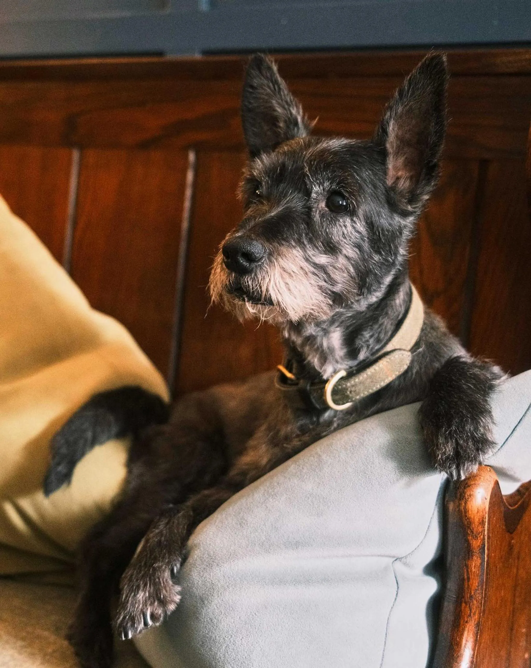 Lounge or bar in Stratton House Hotel & Spa