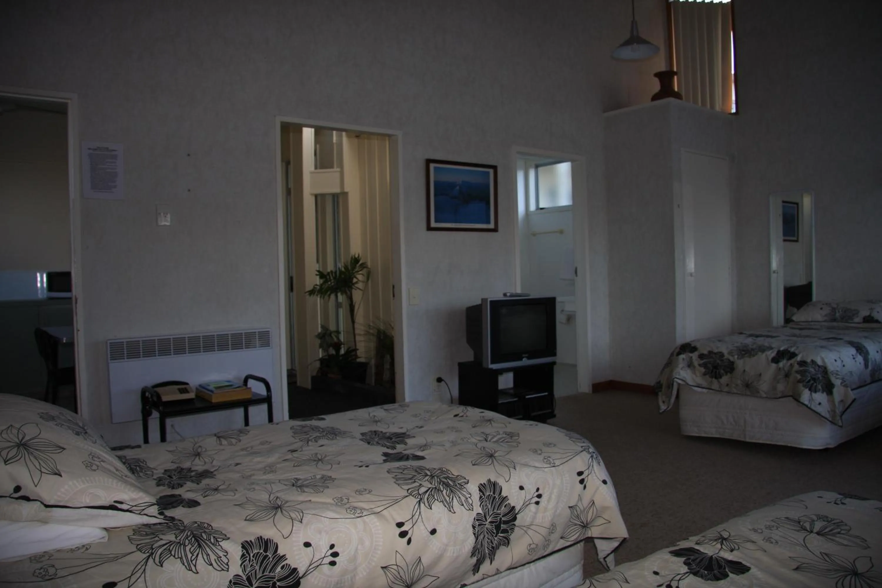 TV and multimedia, Bed in Kuirau Park Motor Lodge- Thermal Mineral pool