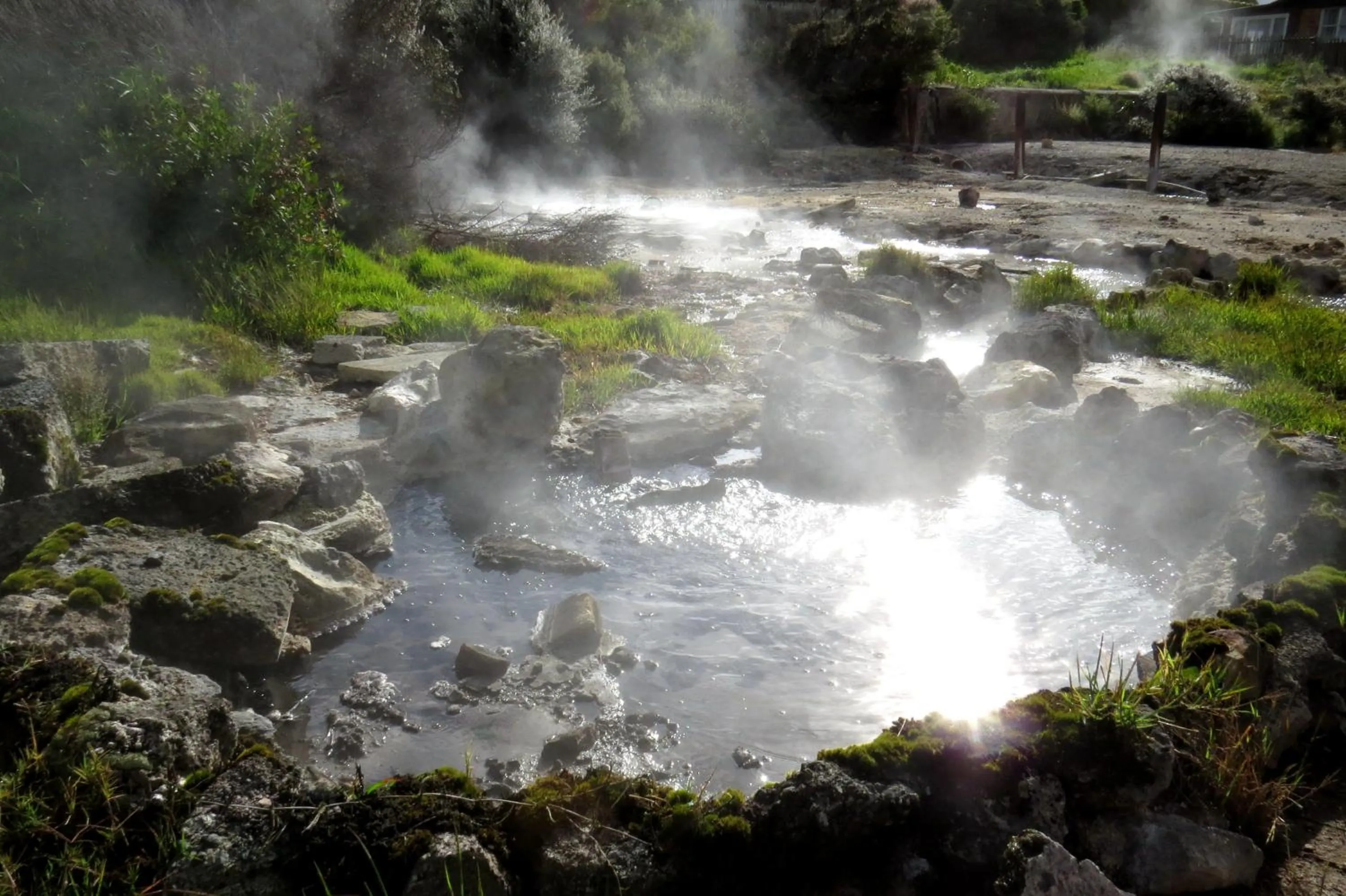 Natural landscape in Kuirau Park Motor Lodge- Thermal Mineral pool