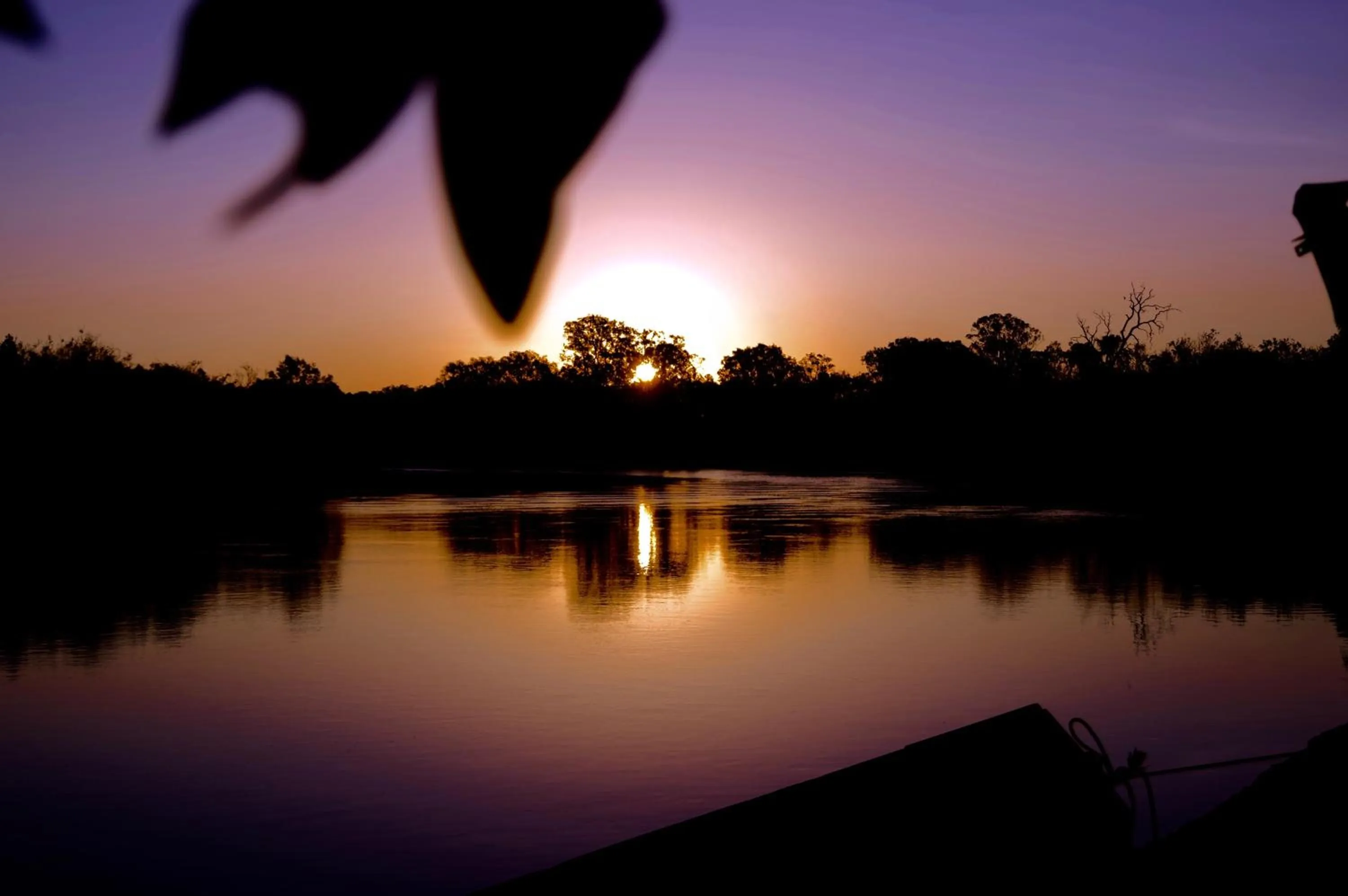 Natural landscape in Mycow Accommodation Mackay