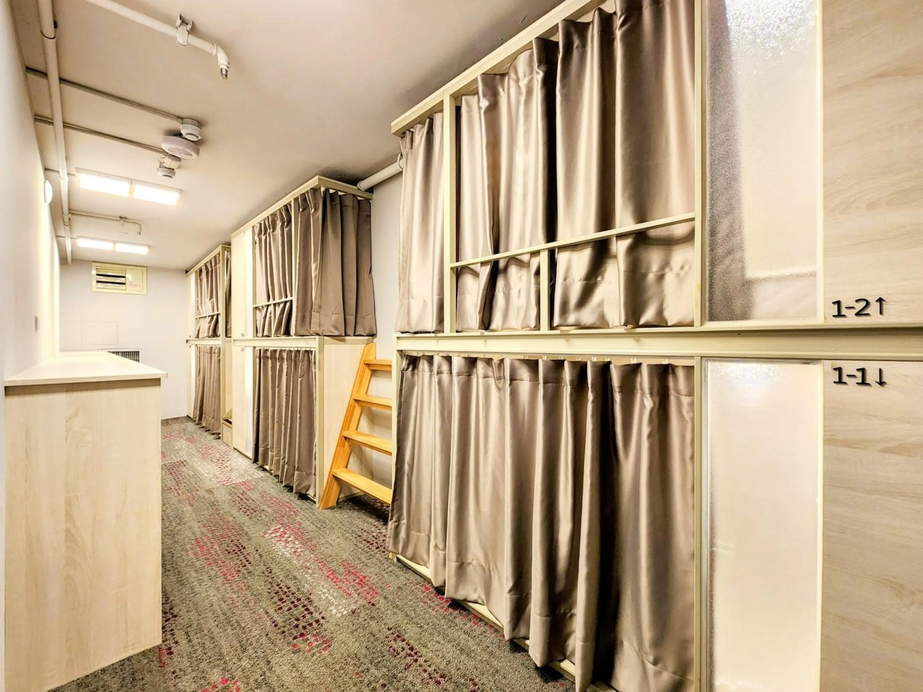 Photo of the whole room in Just Live Hostel