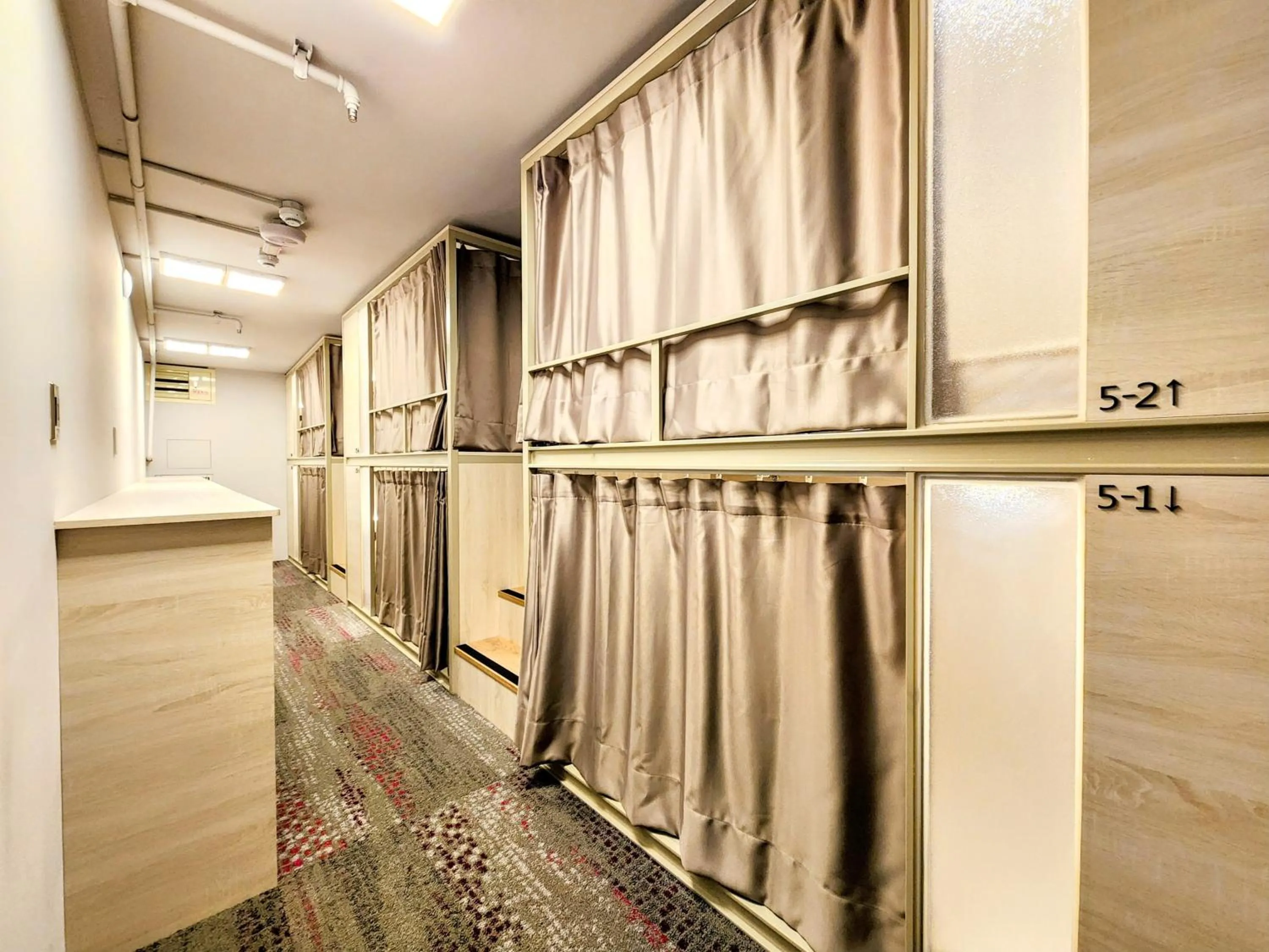 Photo of the whole room in Just Live Hostel