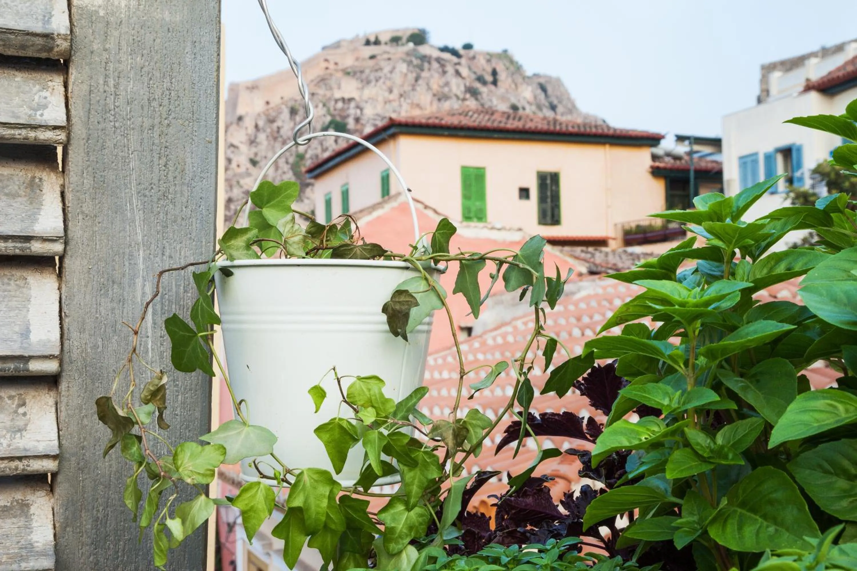 View (from property/room) in Nafplion 1841