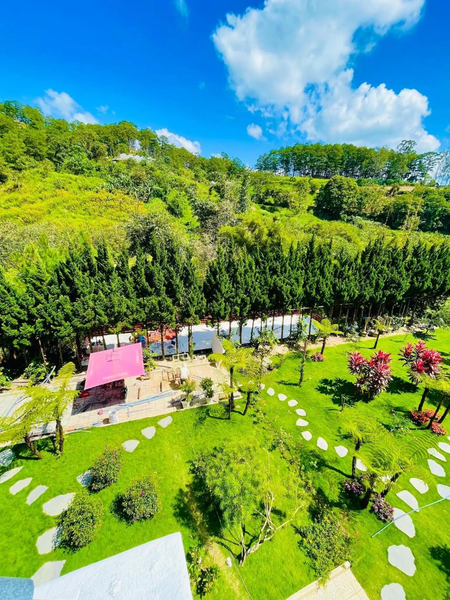 Spring in White Villa Đà Lạt