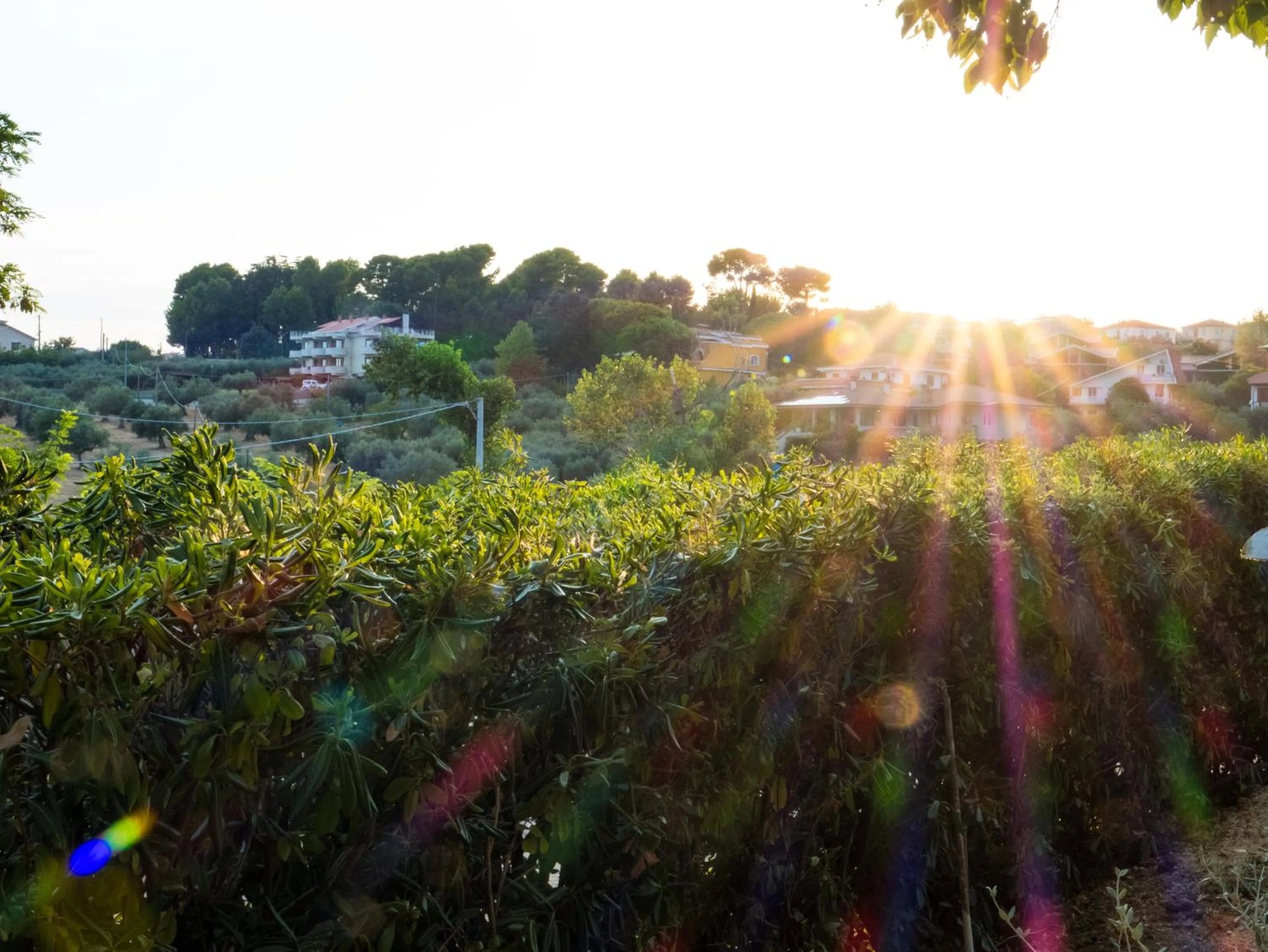 Garden in Giardino Dei Principi d'Abruzzo