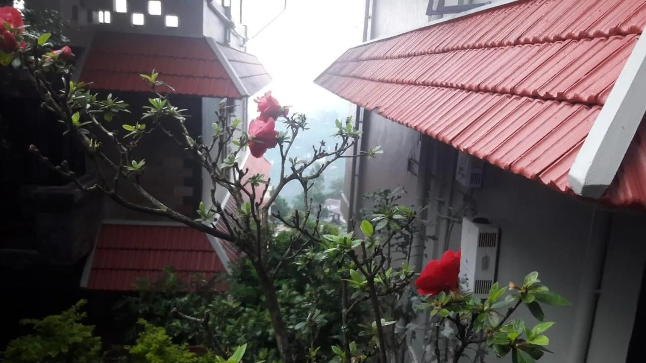 Shamrock Holiday Home