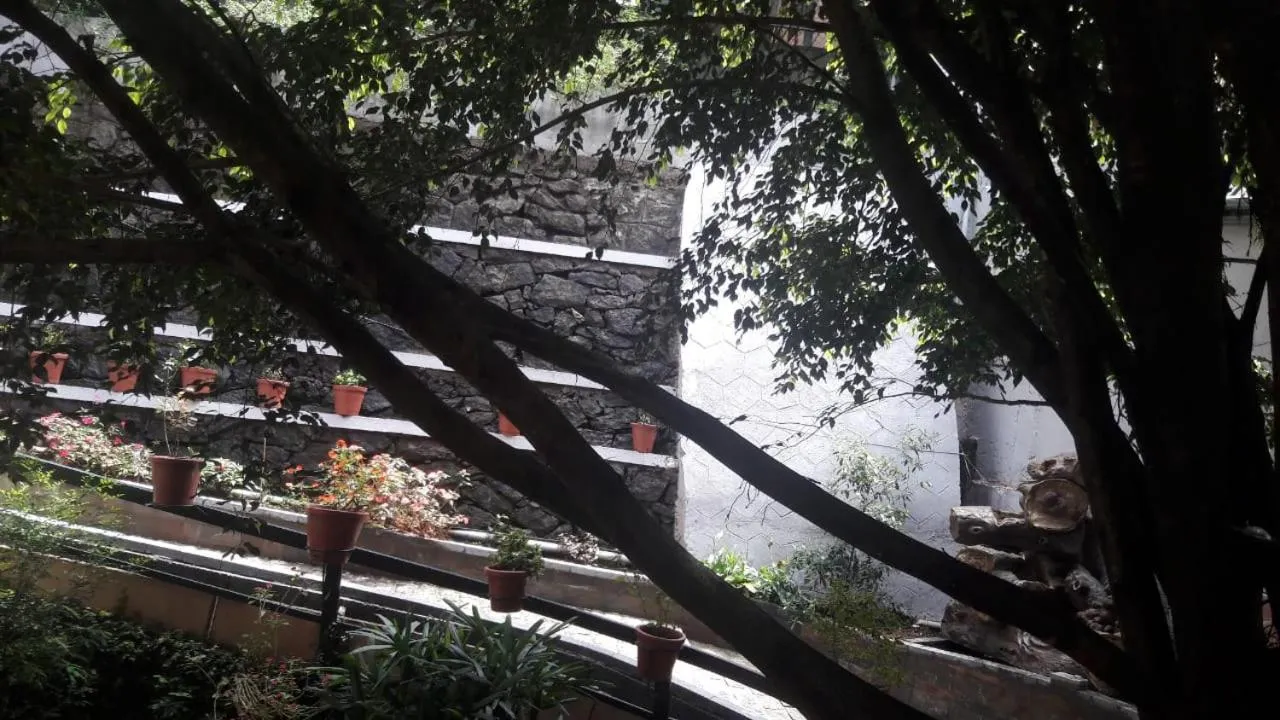 Property building in Shamrock Holiday Home