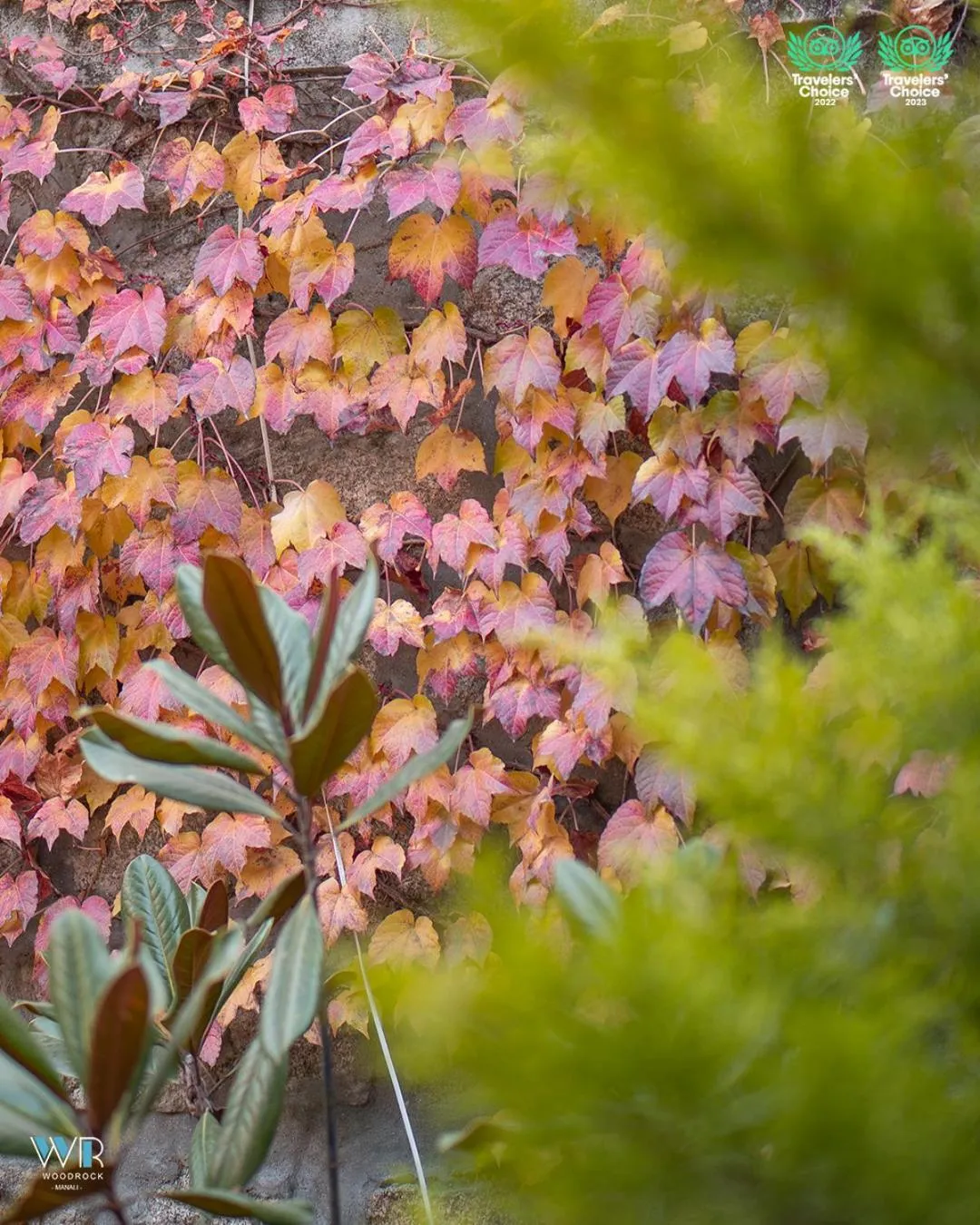 Spring in Woodrock Luxury Boutique Hotel