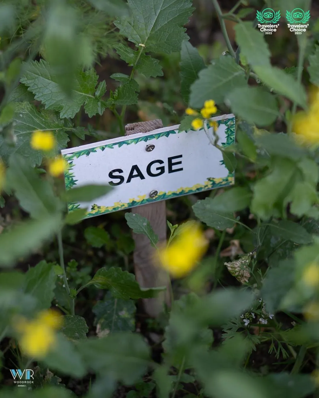 Spring in Woodrock Luxury Boutique Hotel