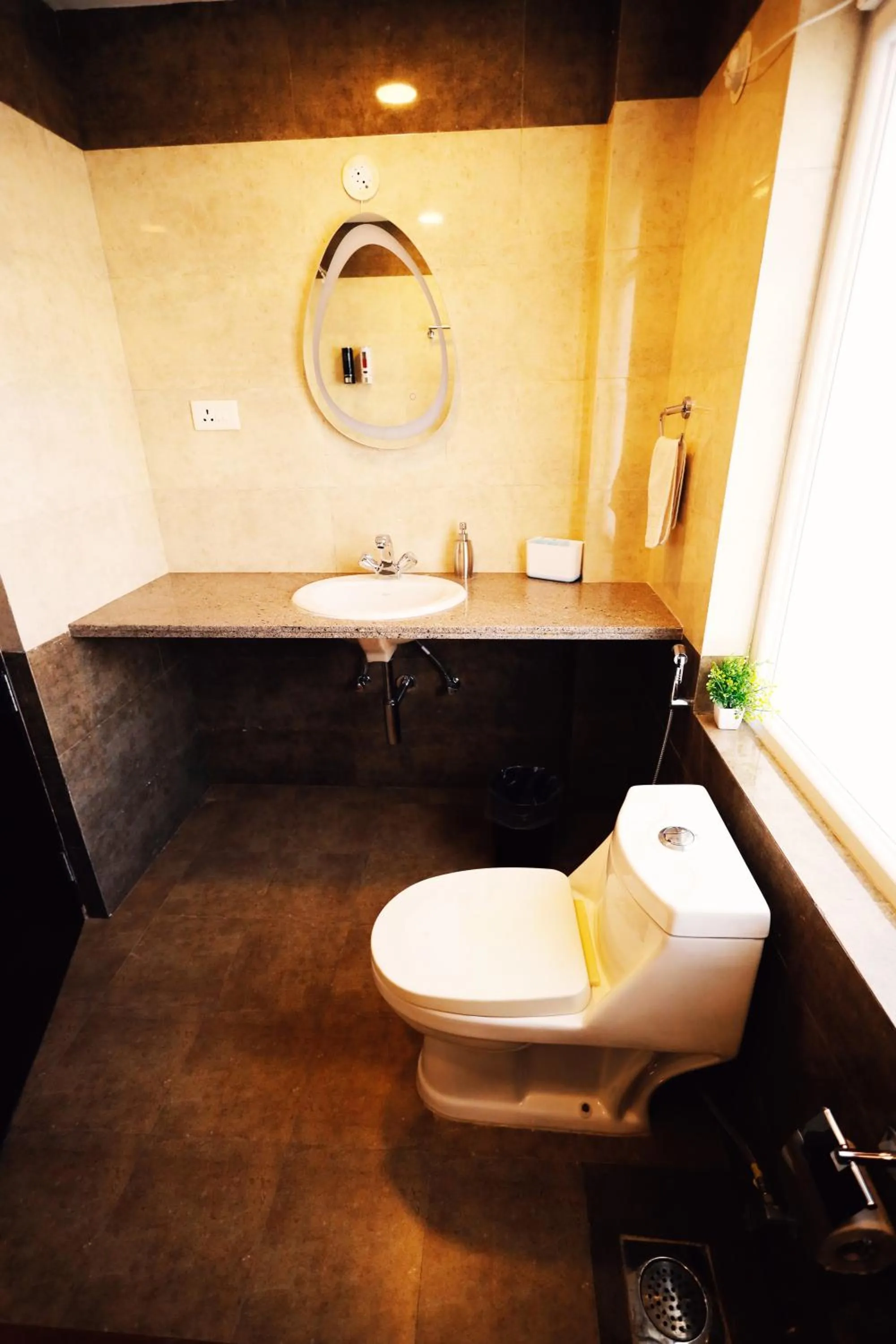 Toilet in Asta by Avim