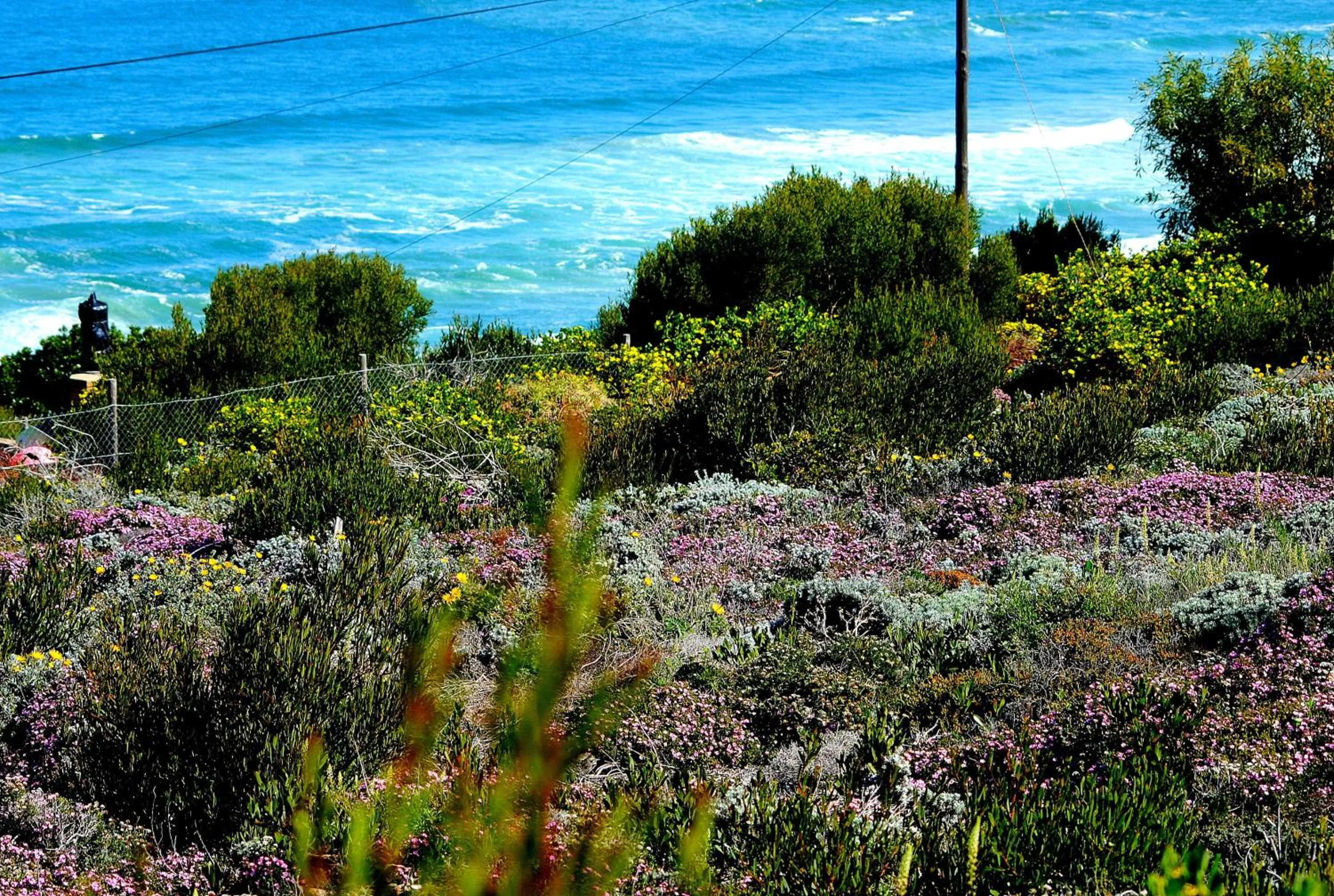 Natural landscape in Eden Guesthouse B&B