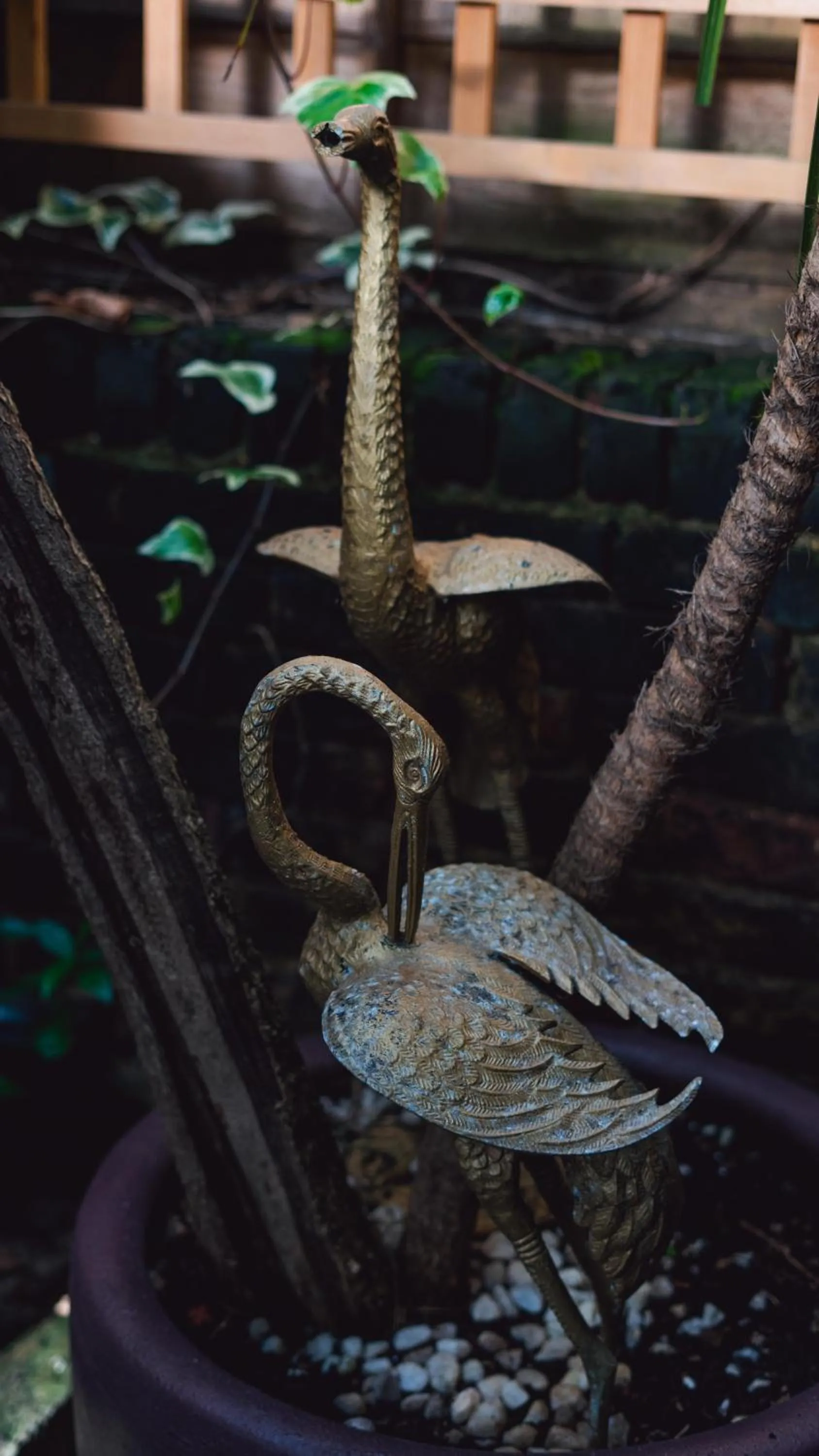 Garden in Twenty Nevern Square Hotel