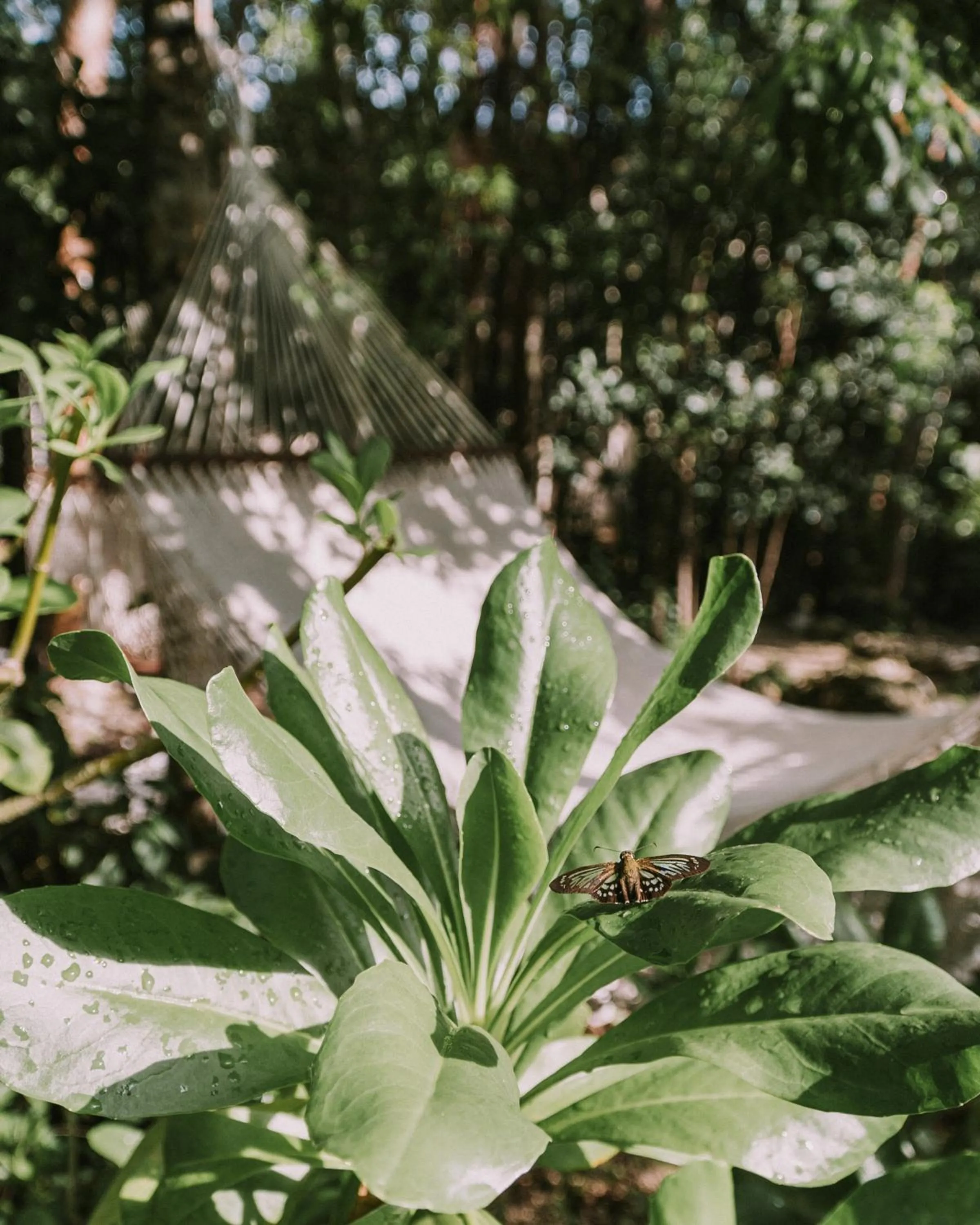 Spa and wellness centre/facilities in Kuun Taak Tulum