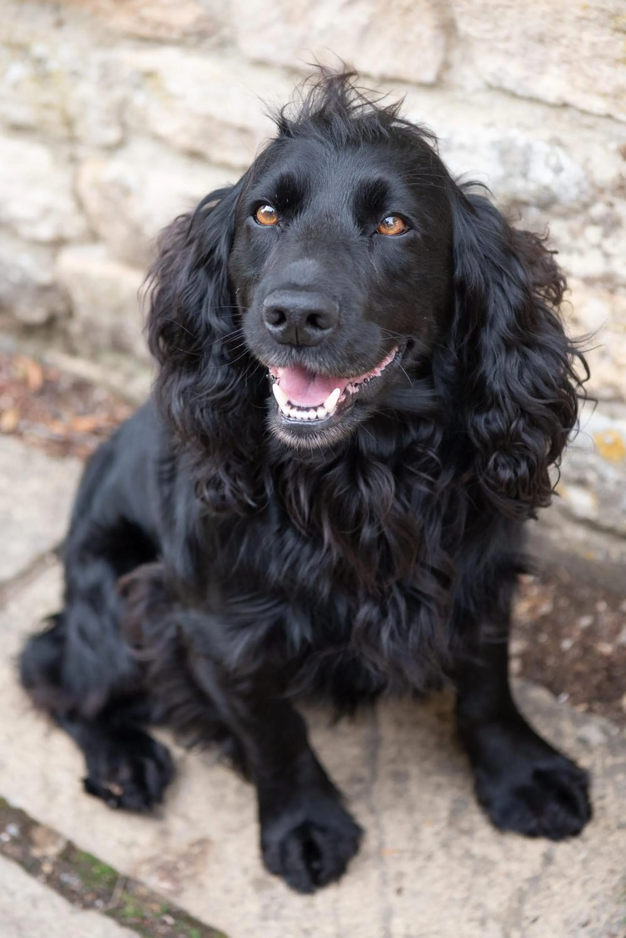 Corinium Hotel & Restaurant