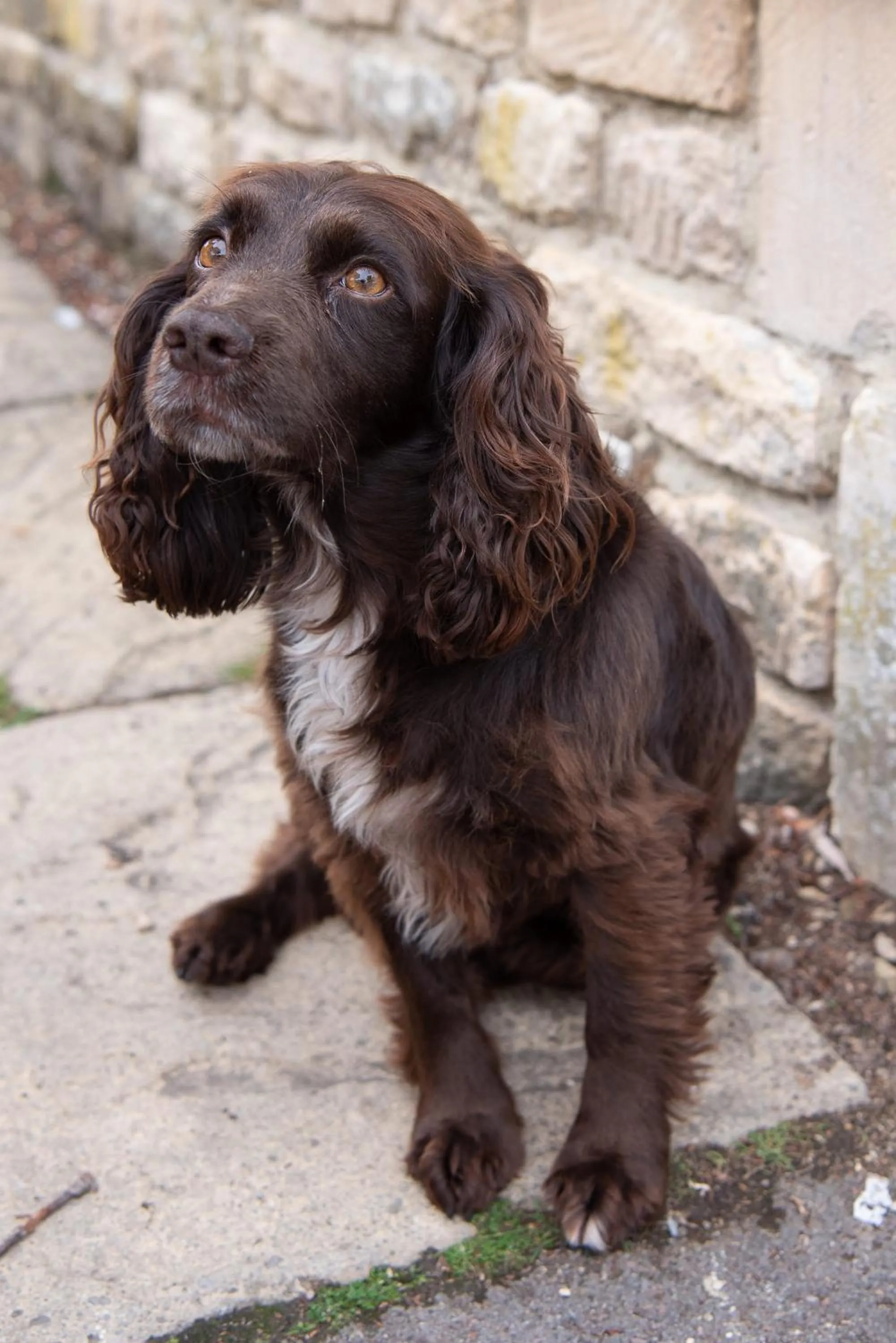 Corinium Hotel & Restaurant