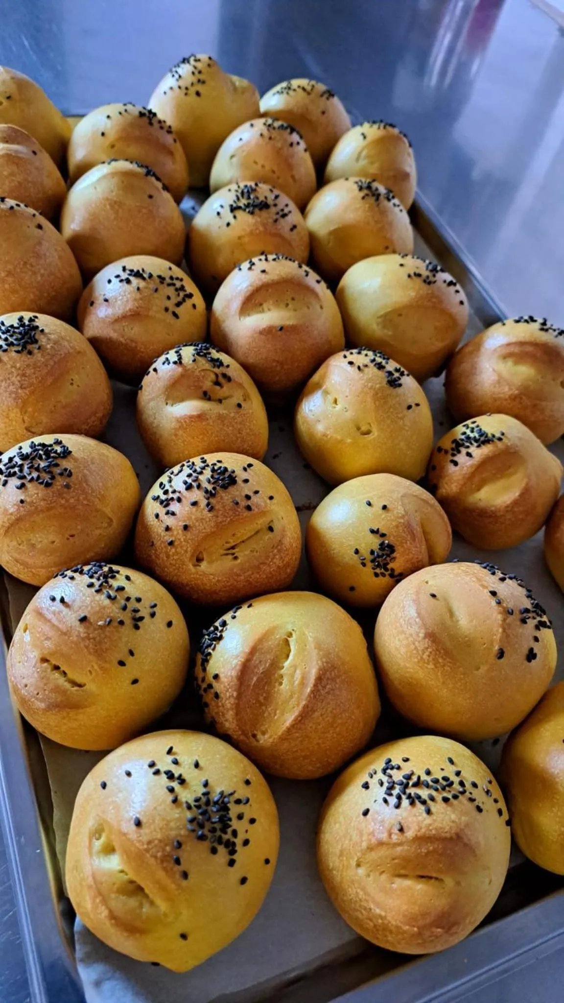 Restaurant/places to eat in Hotel Napoleon