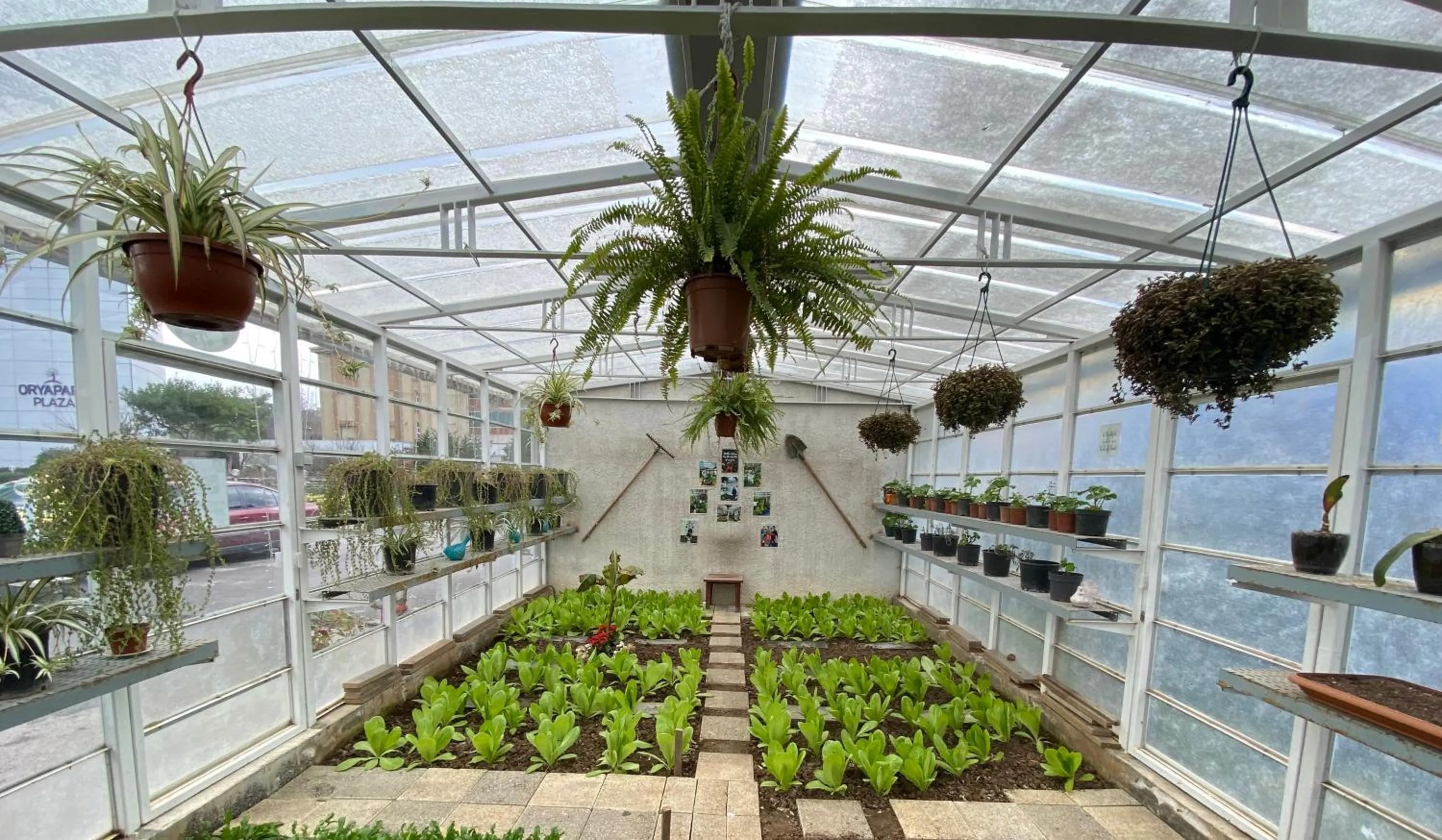 Garden in Crowne Plaza Istanbul Oryapark by IHG