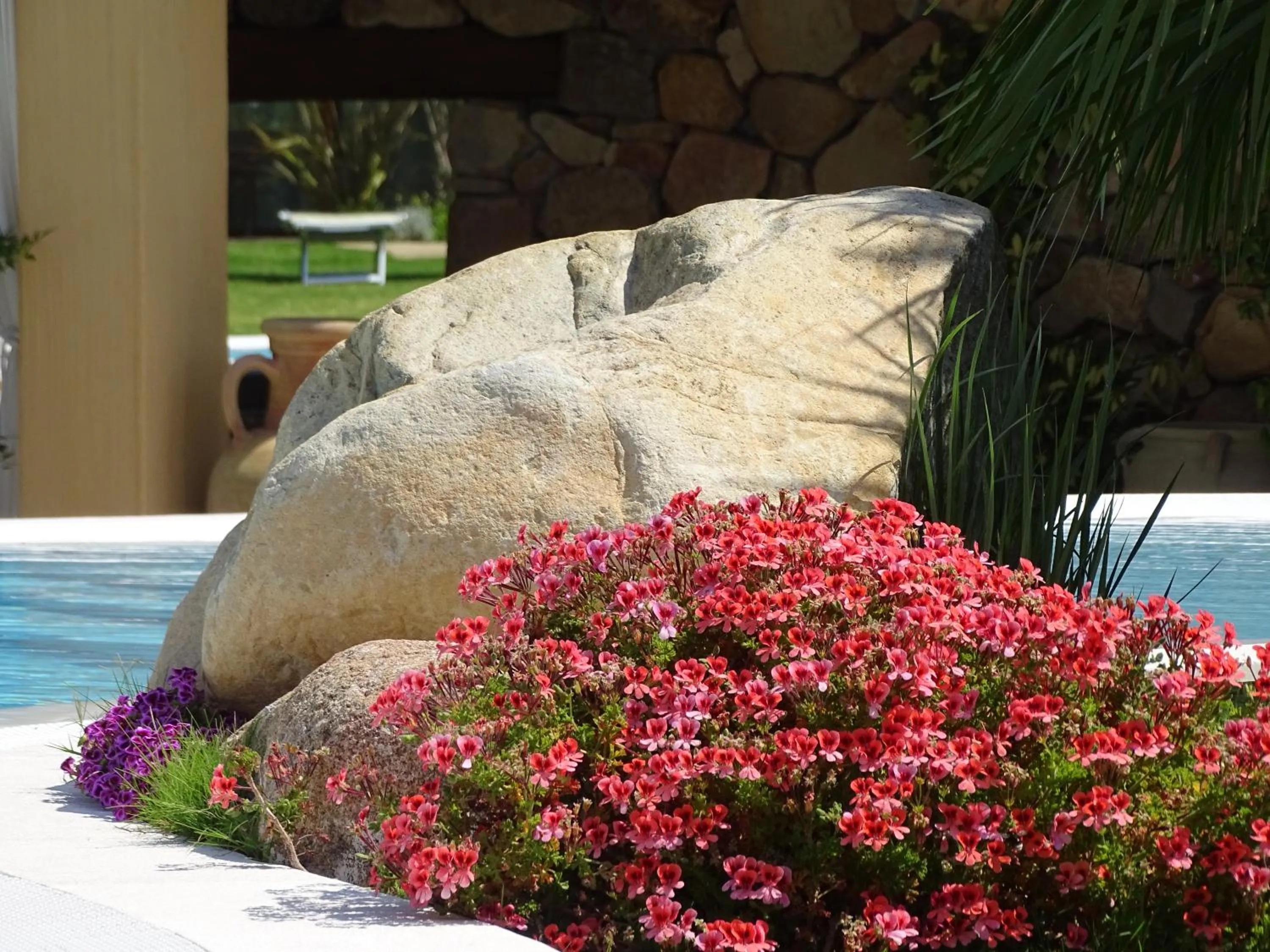 Spring in Hotel Mariposas