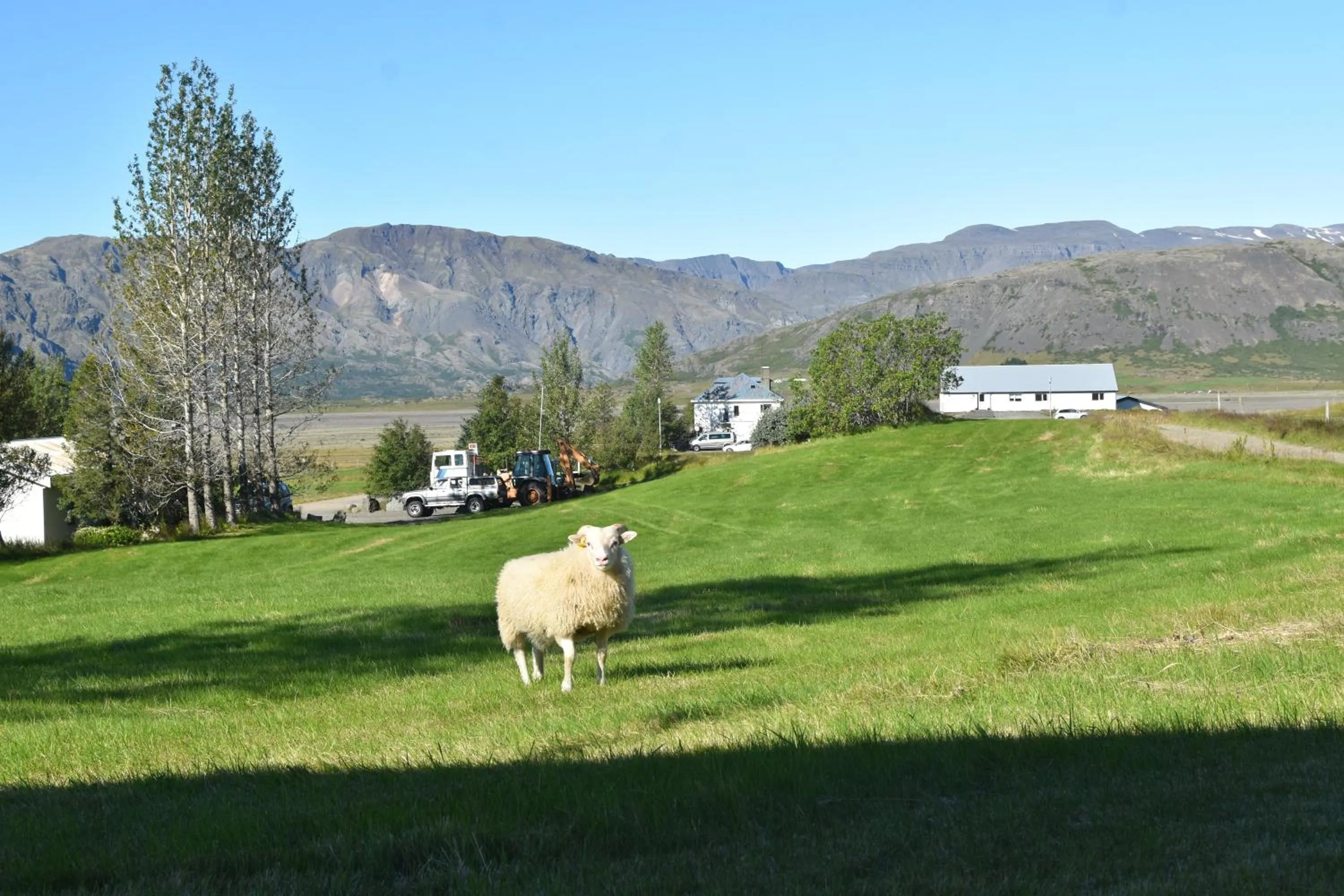Spring in Glacier World - Hoffell Guesthouse