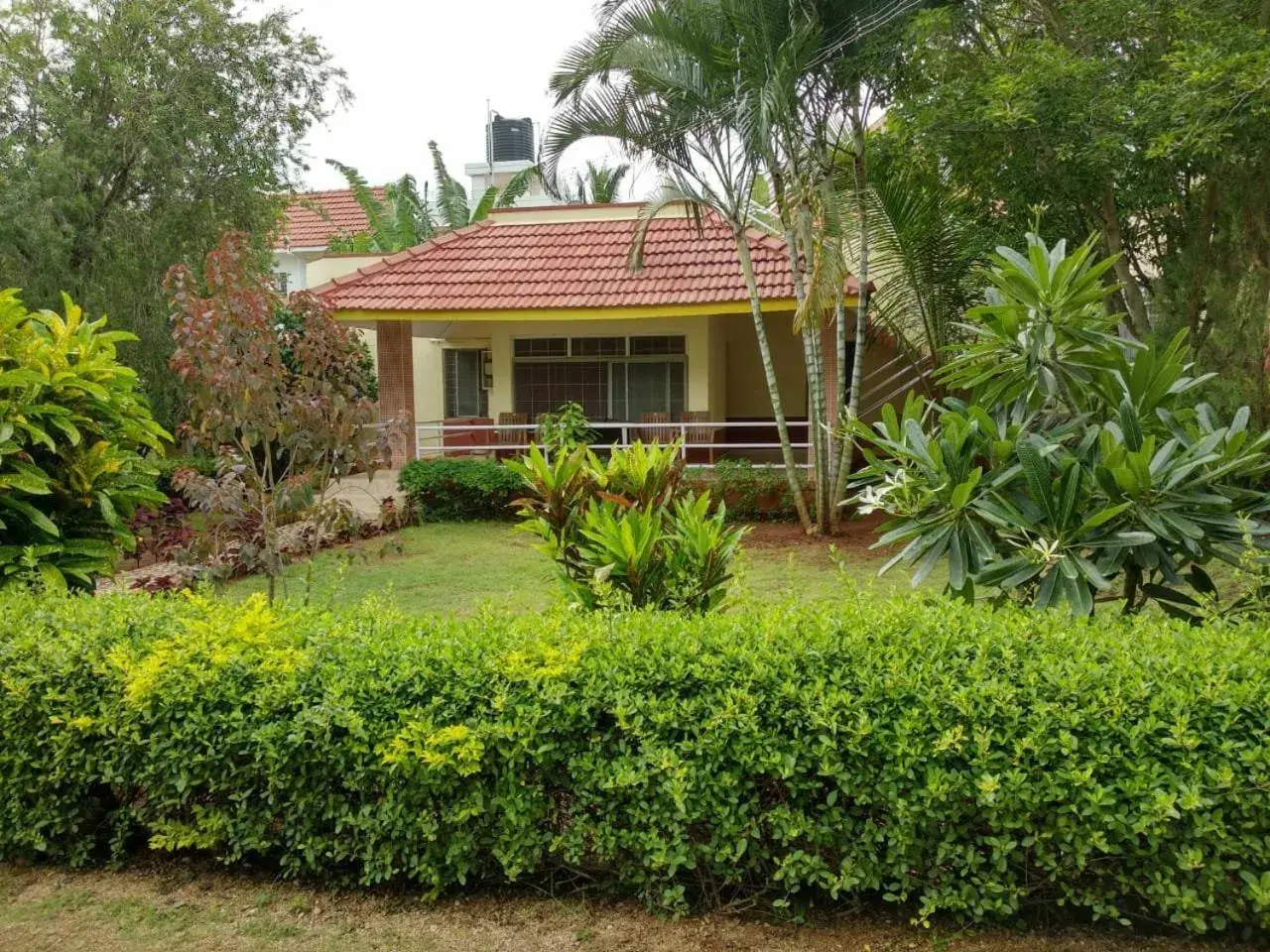 Peters Park Peters Park