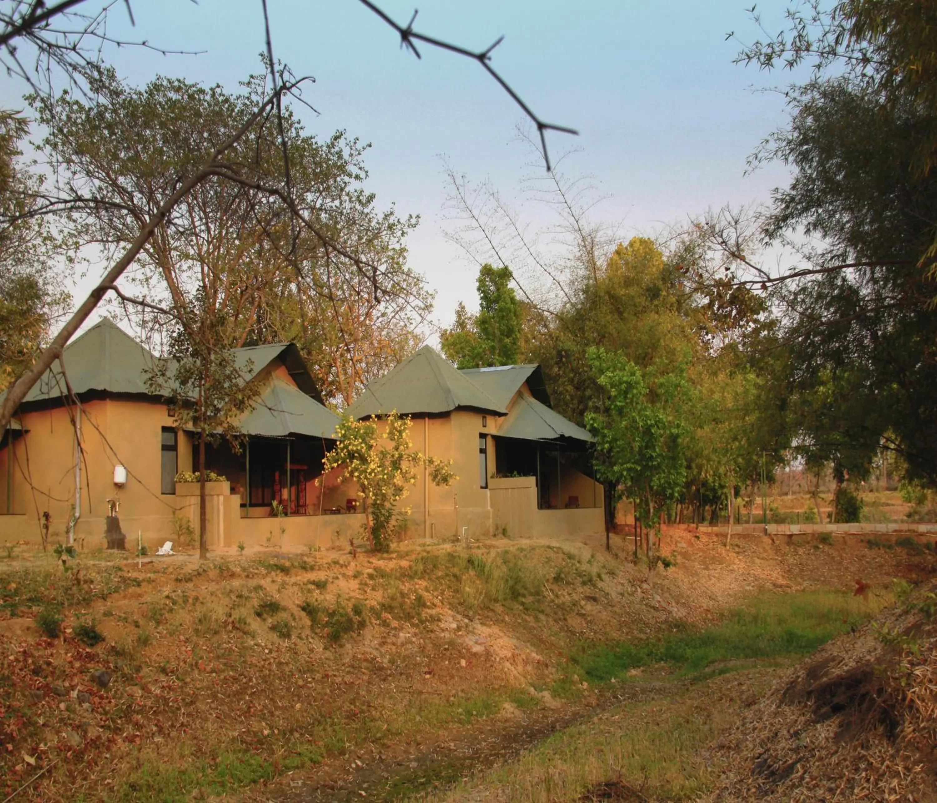 Natural landscape in Tathastu Bandhavgarh