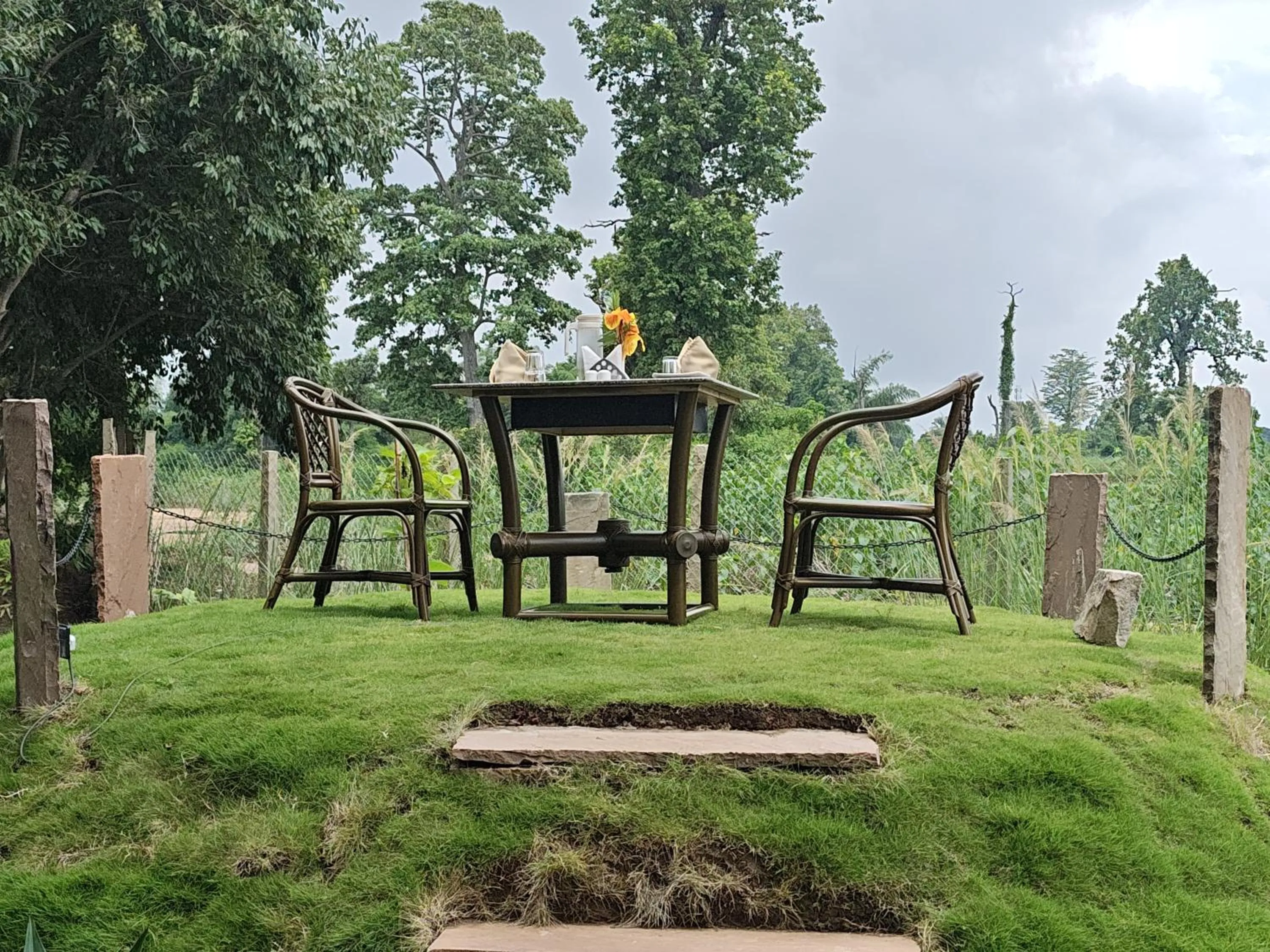 Activities in Tathastu Bandhavgarh