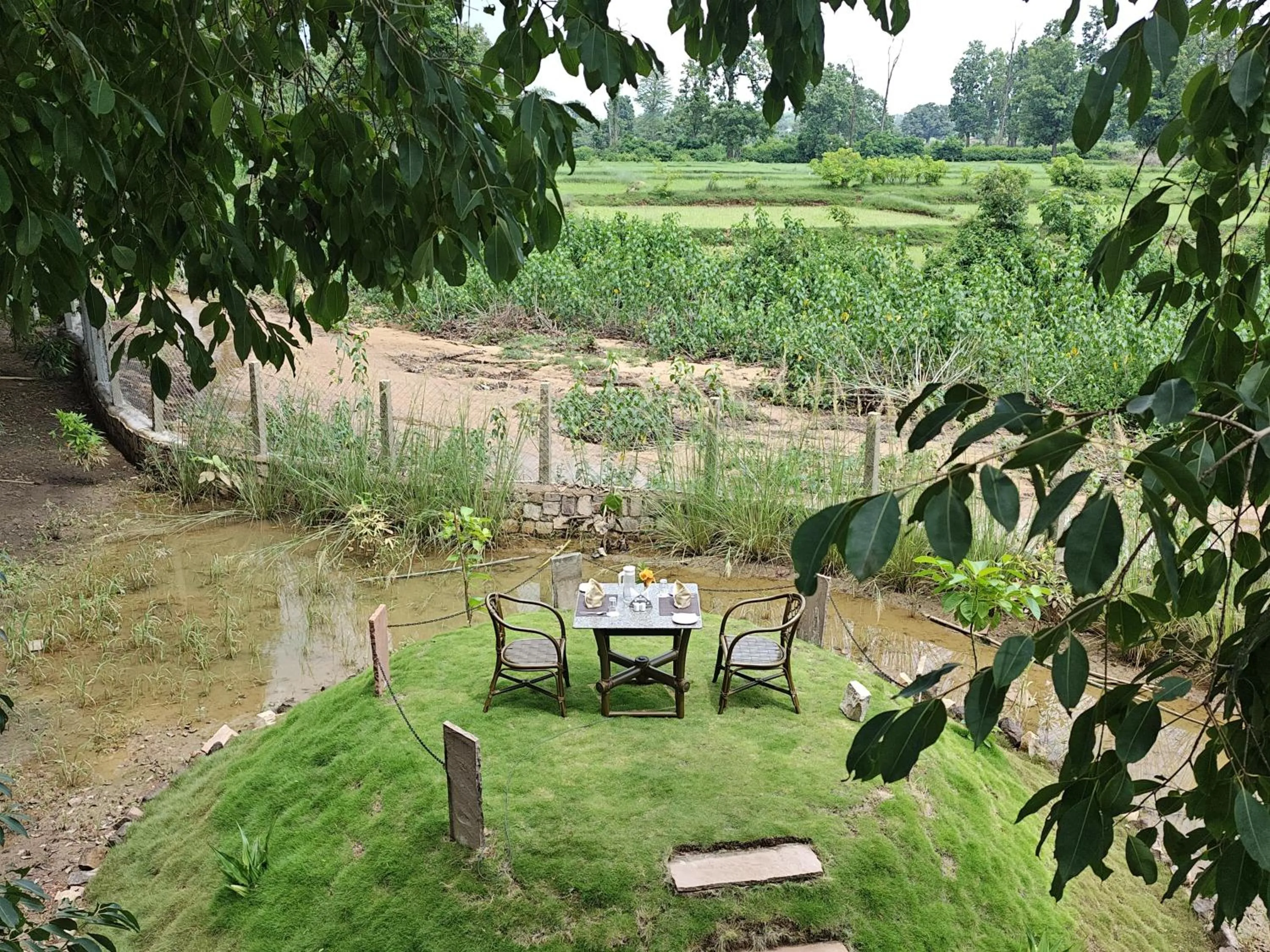 Activities in Tathastu Bandhavgarh