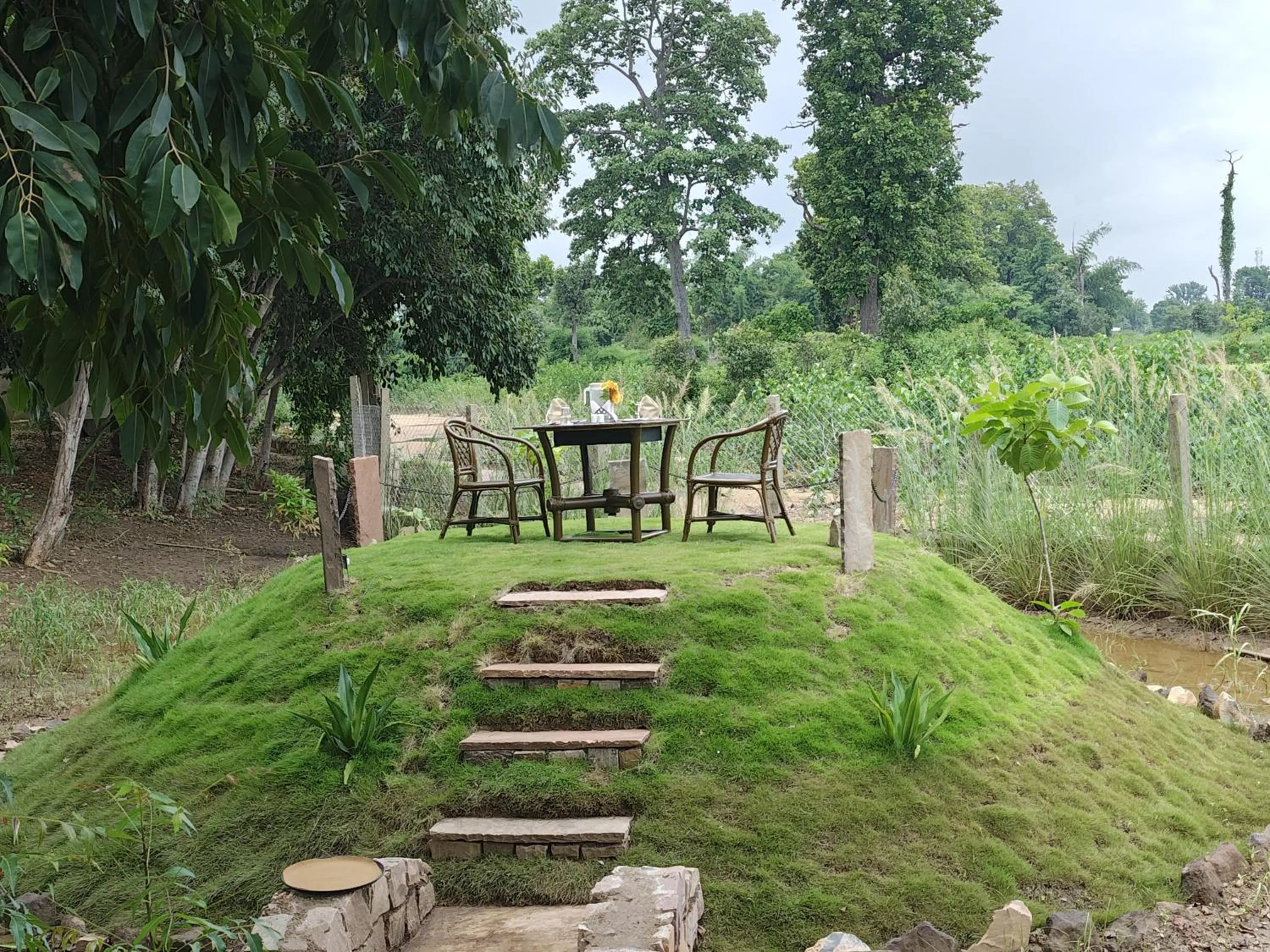 Activities in Tathastu Bandhavgarh