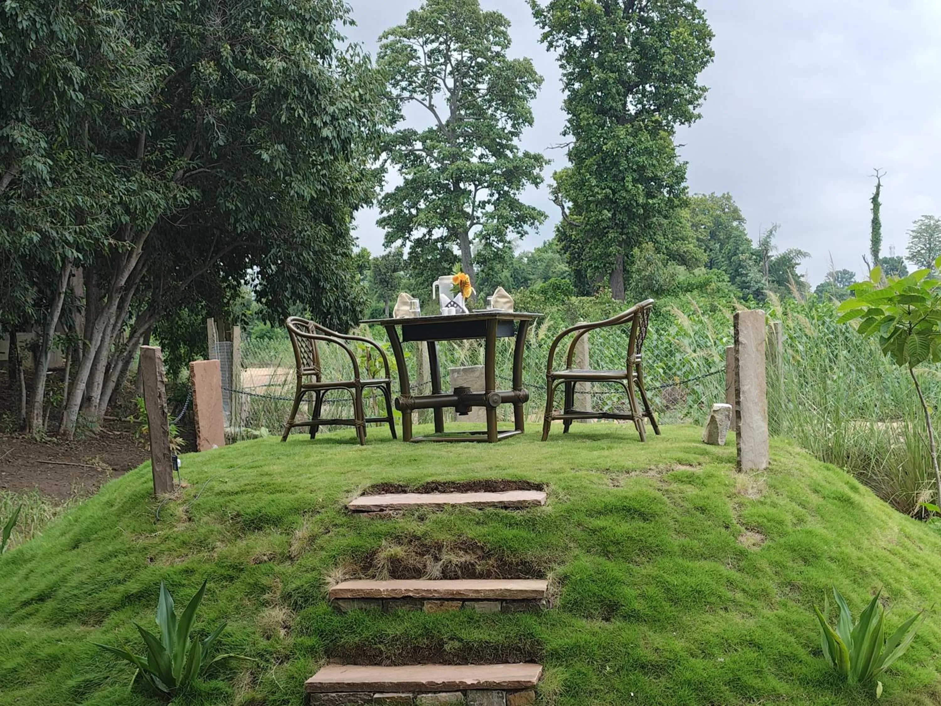 Activities in Tathastu Bandhavgarh