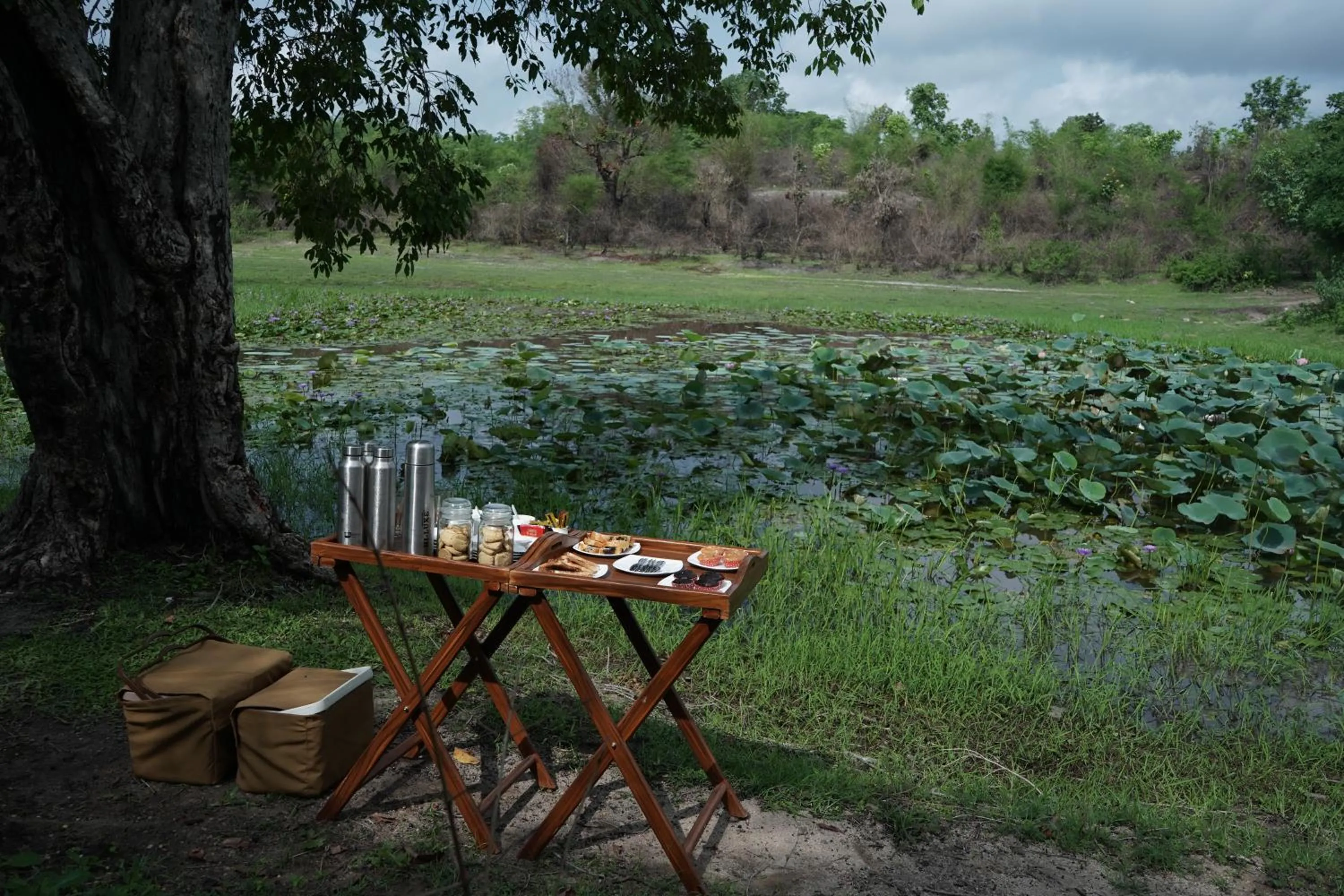 Lounge or bar in Tathastu Bandhavgarh