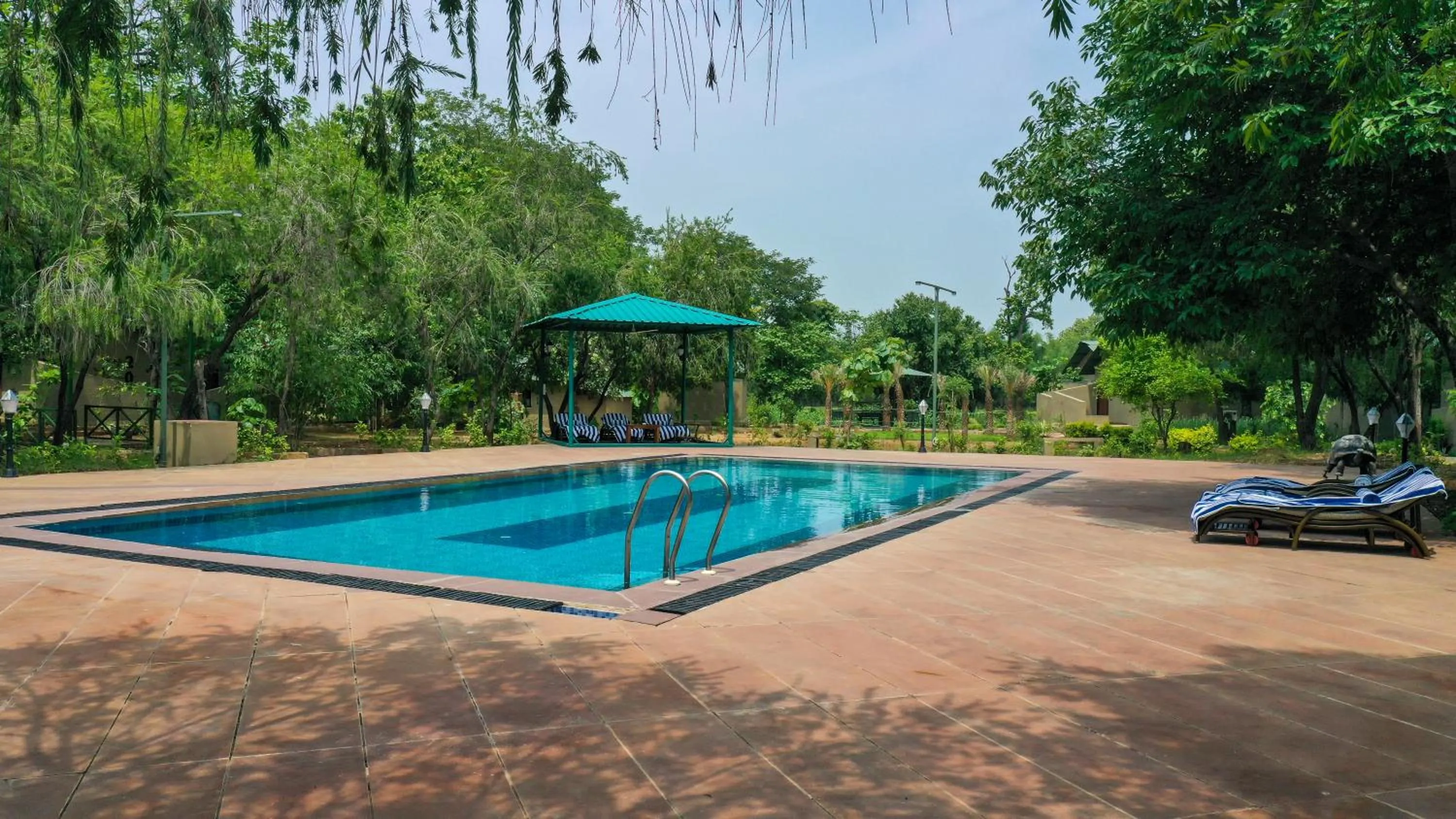 Swimming pool in Tathastu Bandhavgarh