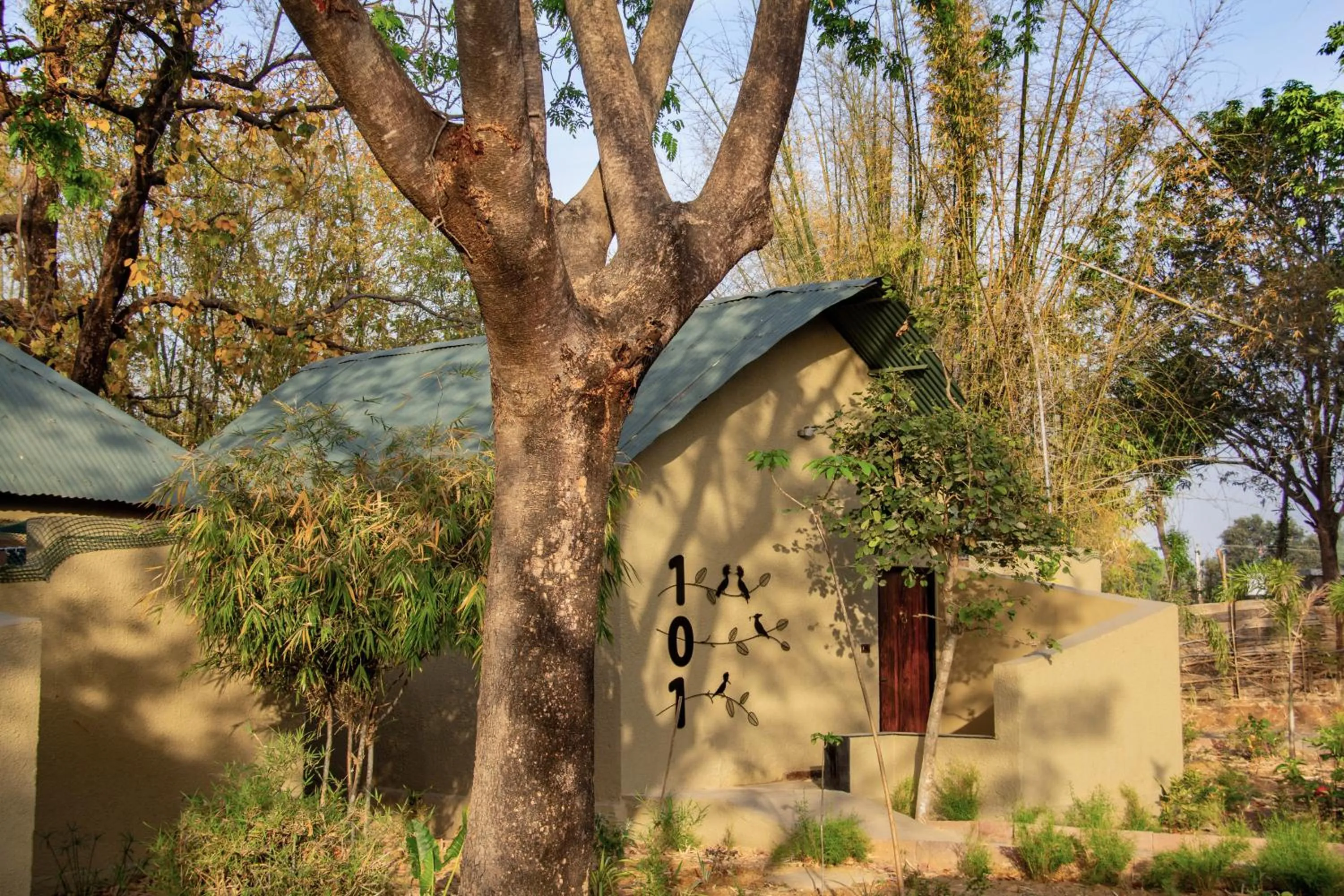 Natural landscape in Tathastu Bandhavgarh