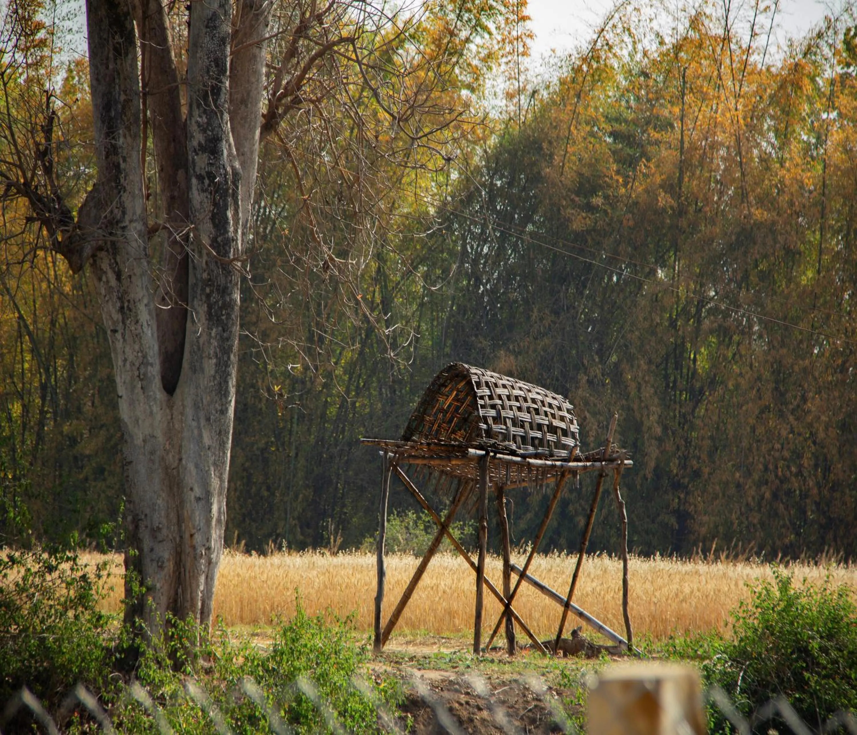 Natural landscape in Tathastu Bandhavgarh