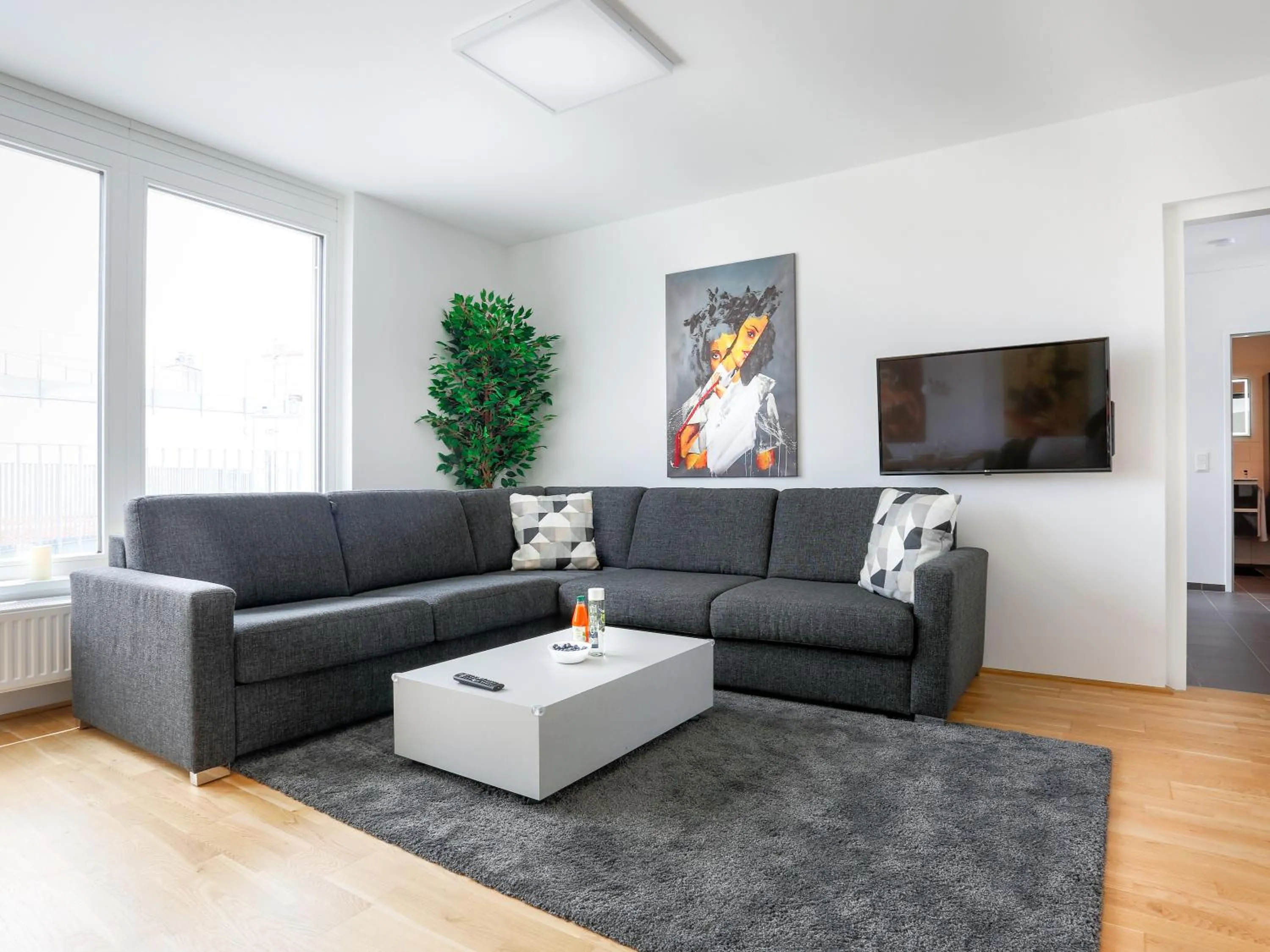 Communal lounge/ TV room in Penthouse Apartments