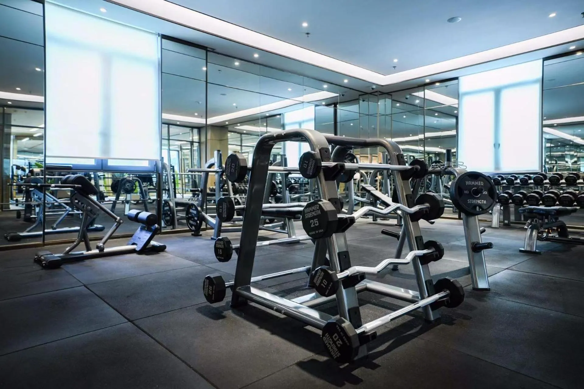 Fitness centre/facilities in Mövenpick by Accor Binjiang Nanjing