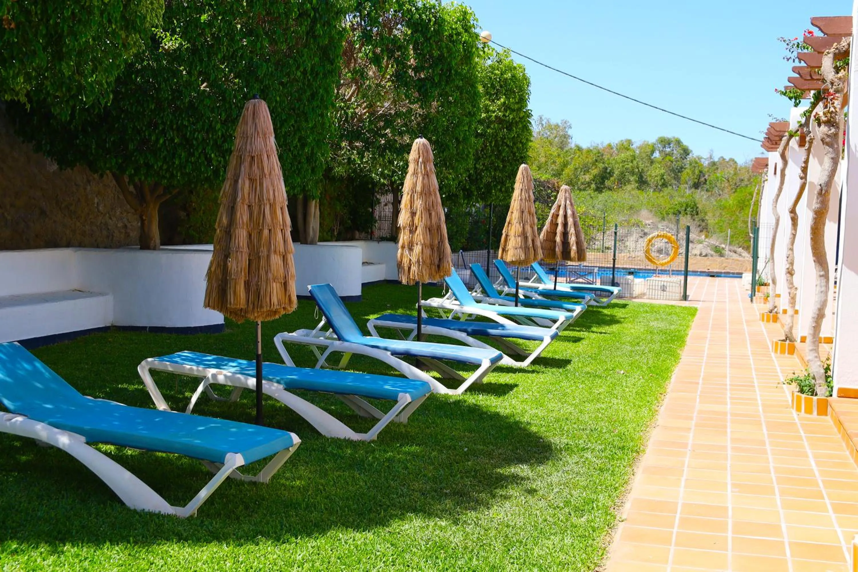Garden in Hotel Marazul