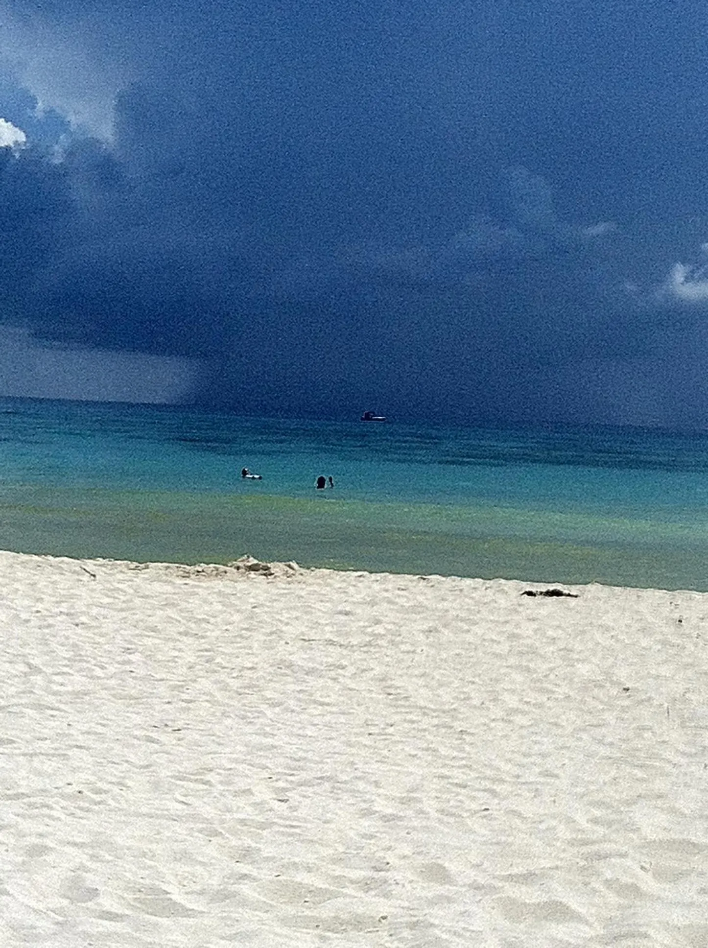 Garden in Casa Mi Tesoro