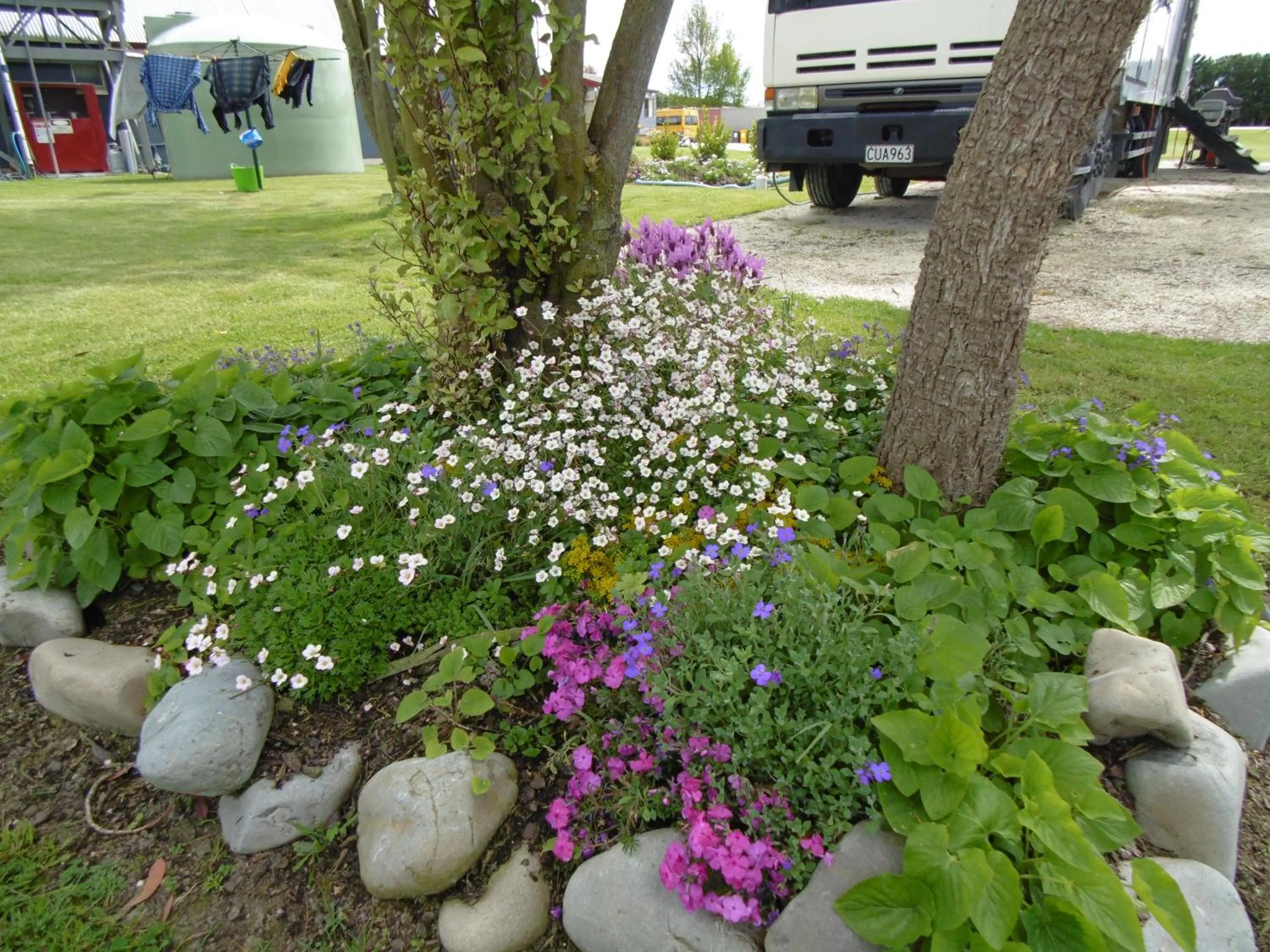 Garden in Glenavys Waitaki River Motor Camp