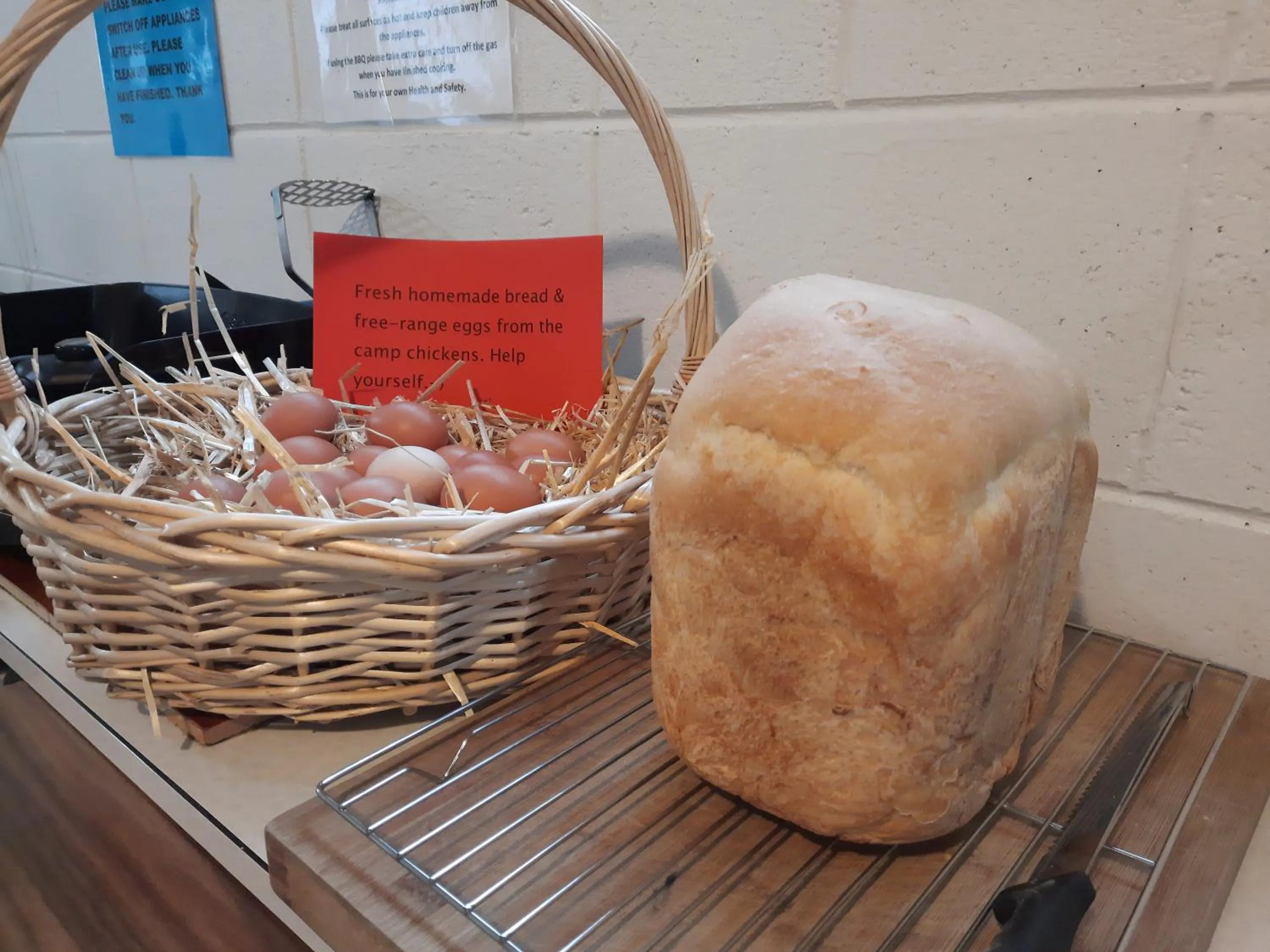 Glenavys Waitaki River Motor Camp