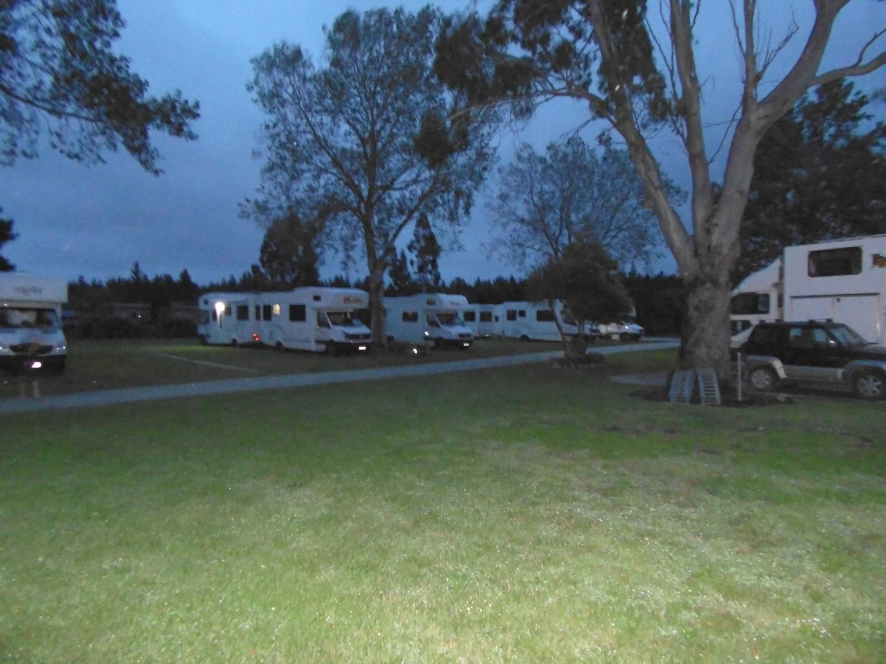 group of guests in Glenavys Waitaki River Motor Camp