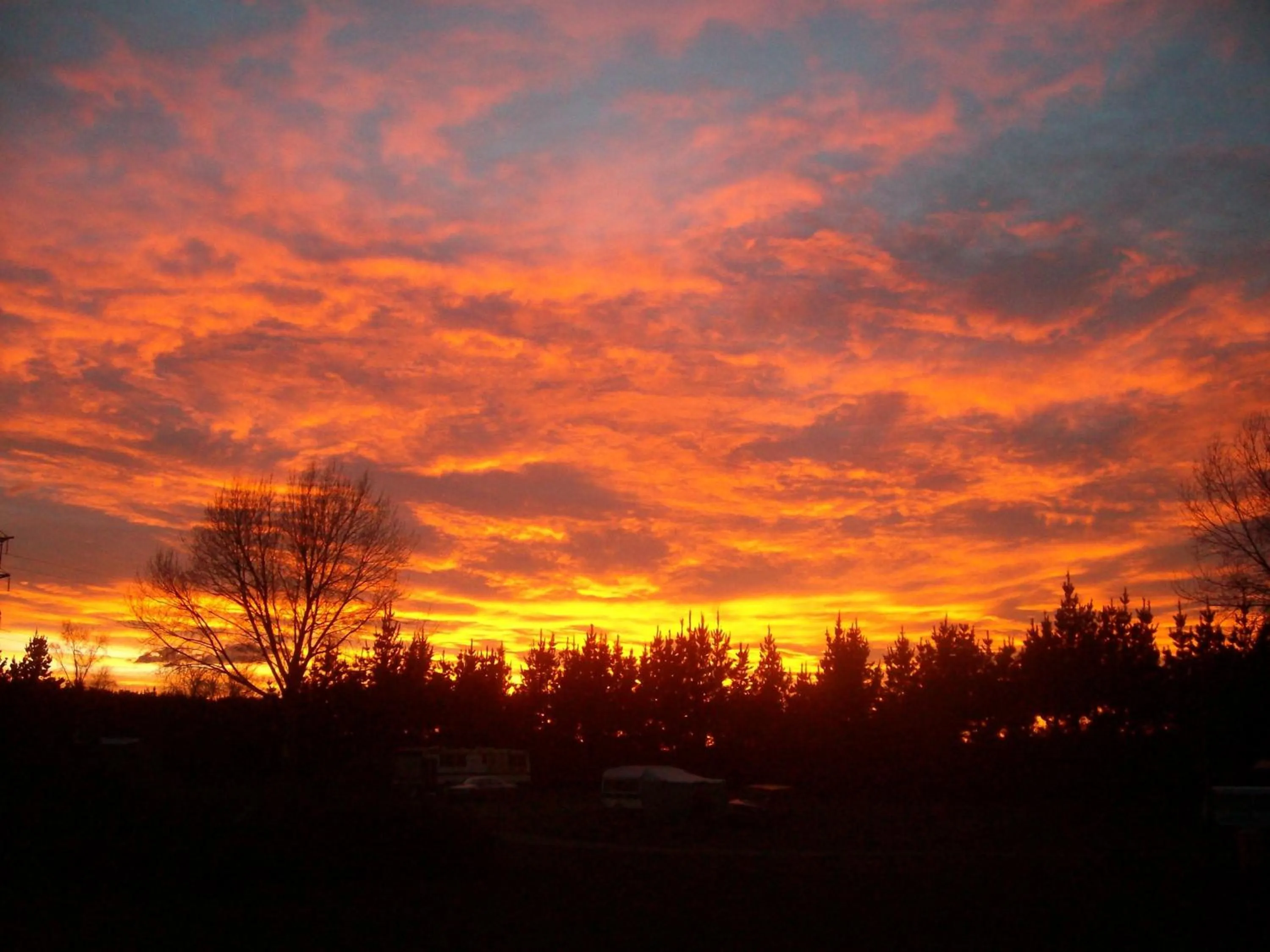 Spring in Glenavys Waitaki River Motor Camp