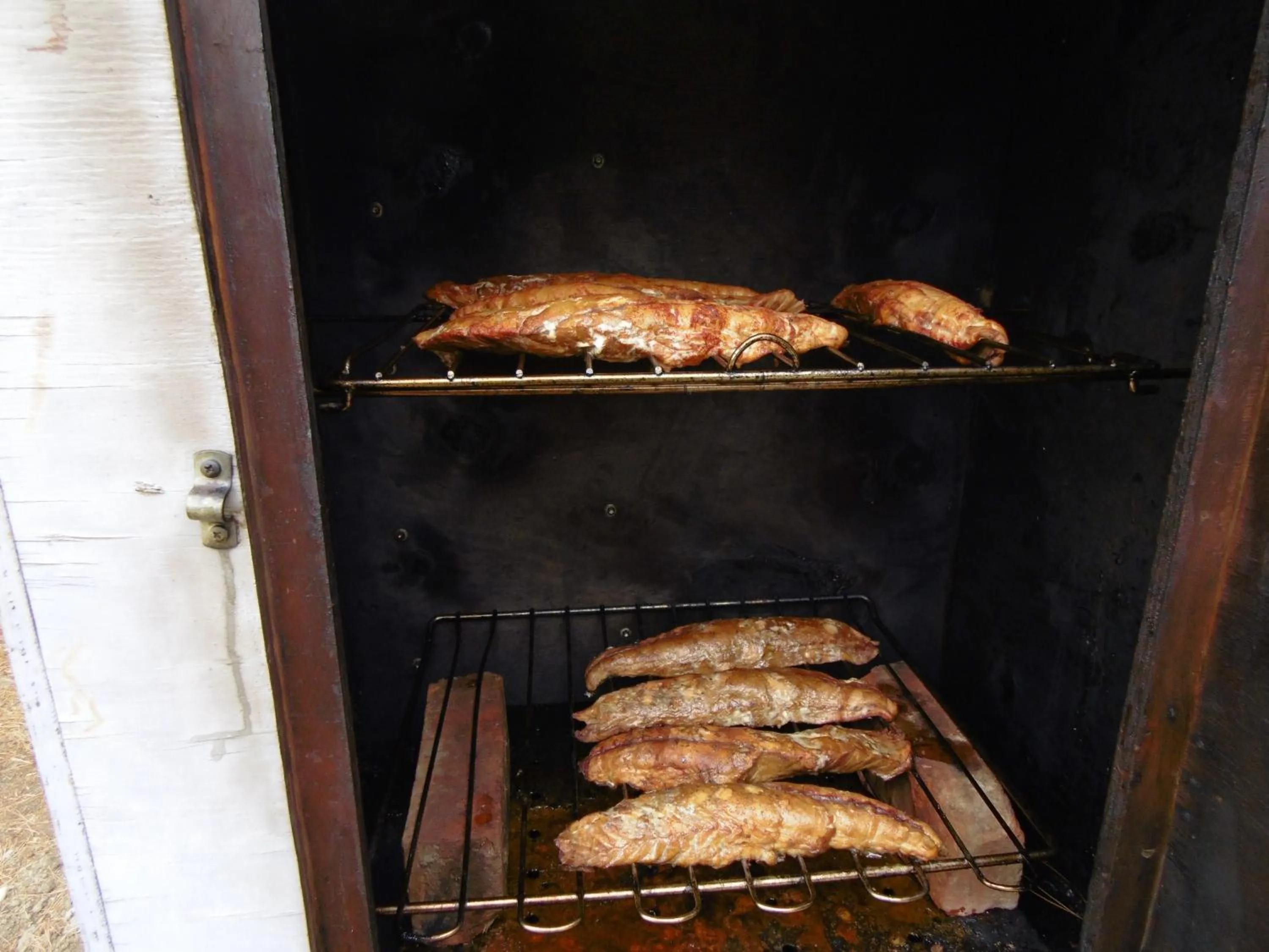 Time of day in Glenavys Waitaki River Motor Camp