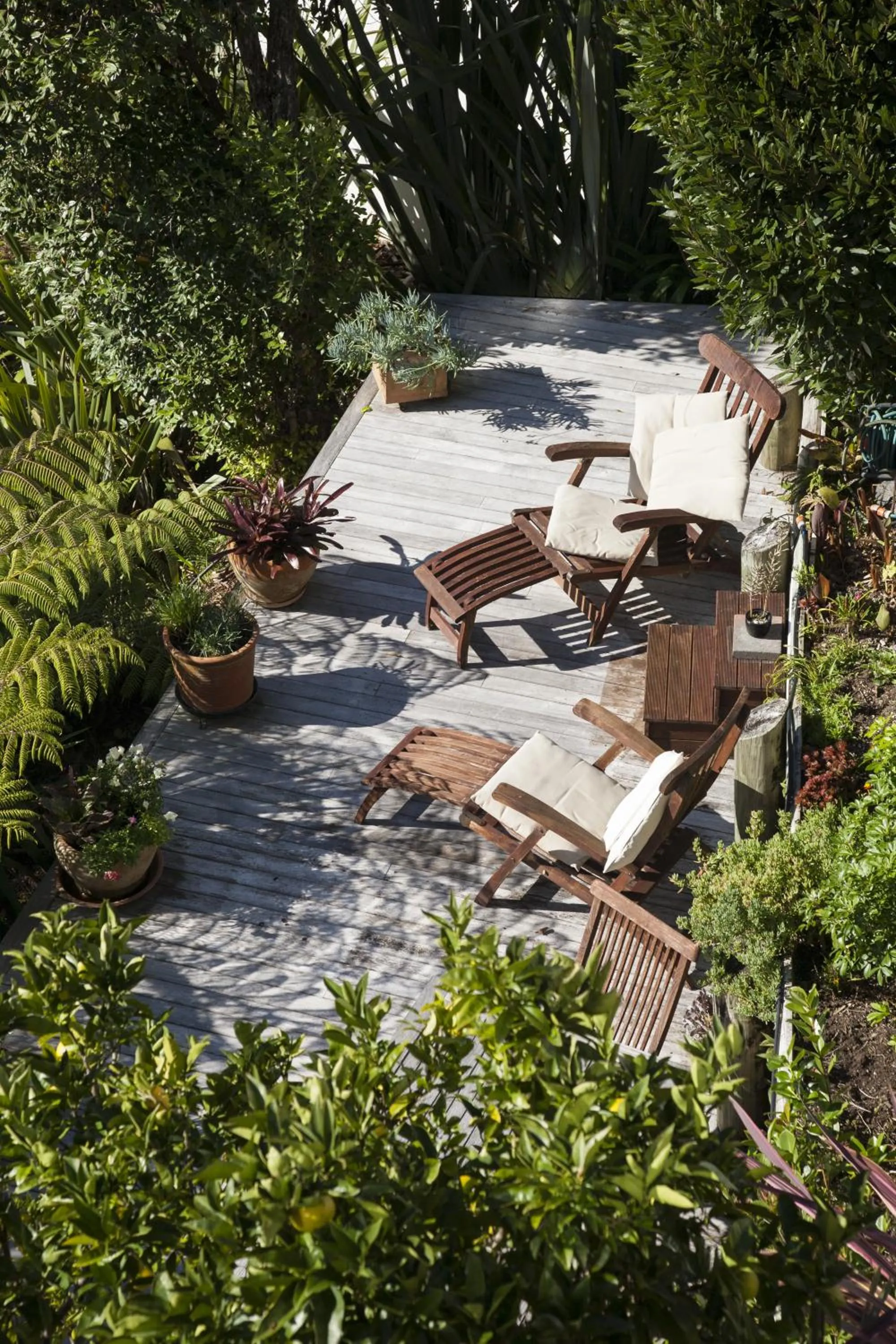 Garden in Allegra House