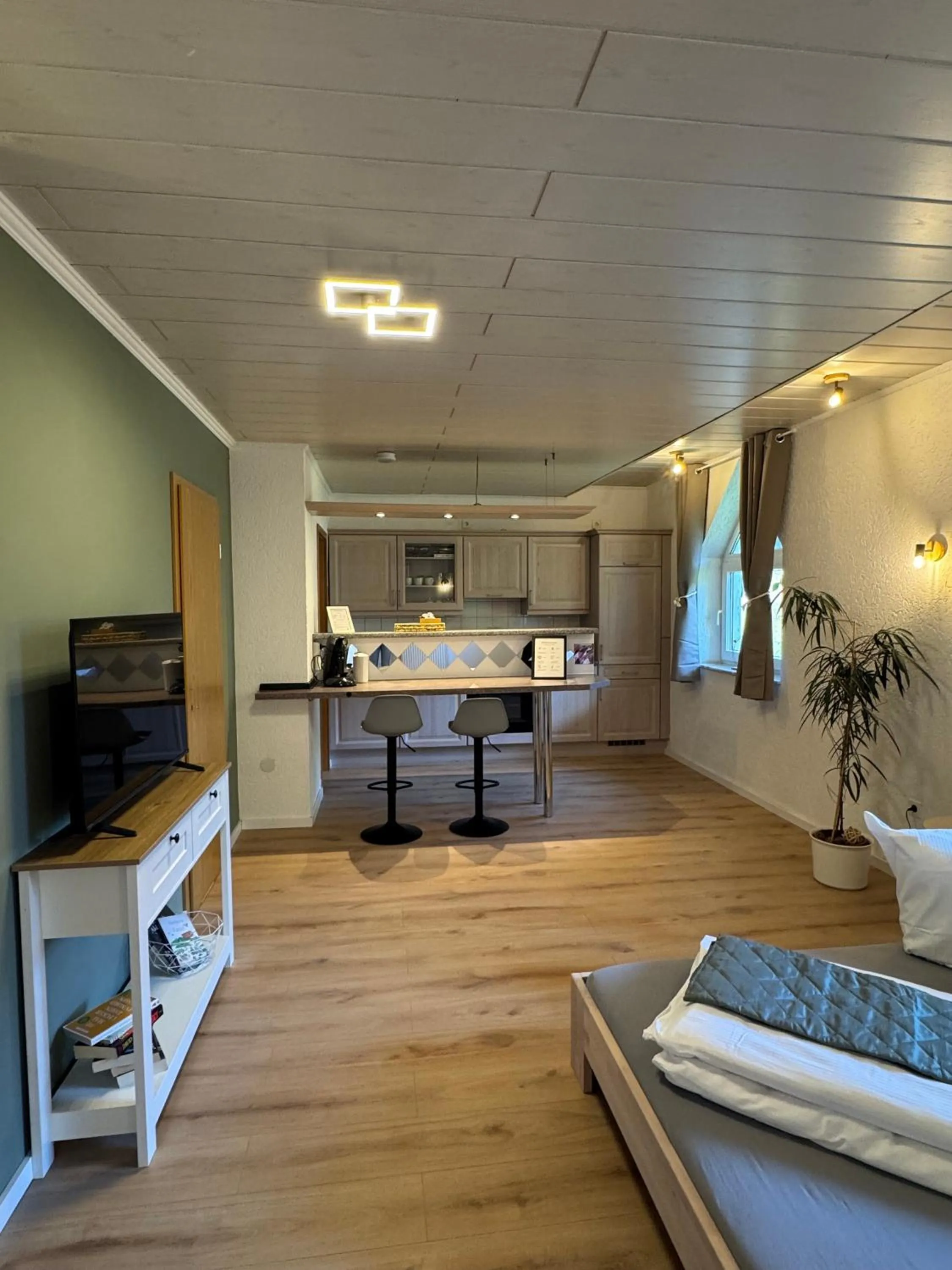 TV and multimedia in Pension und Apartment Landhaus Fricke