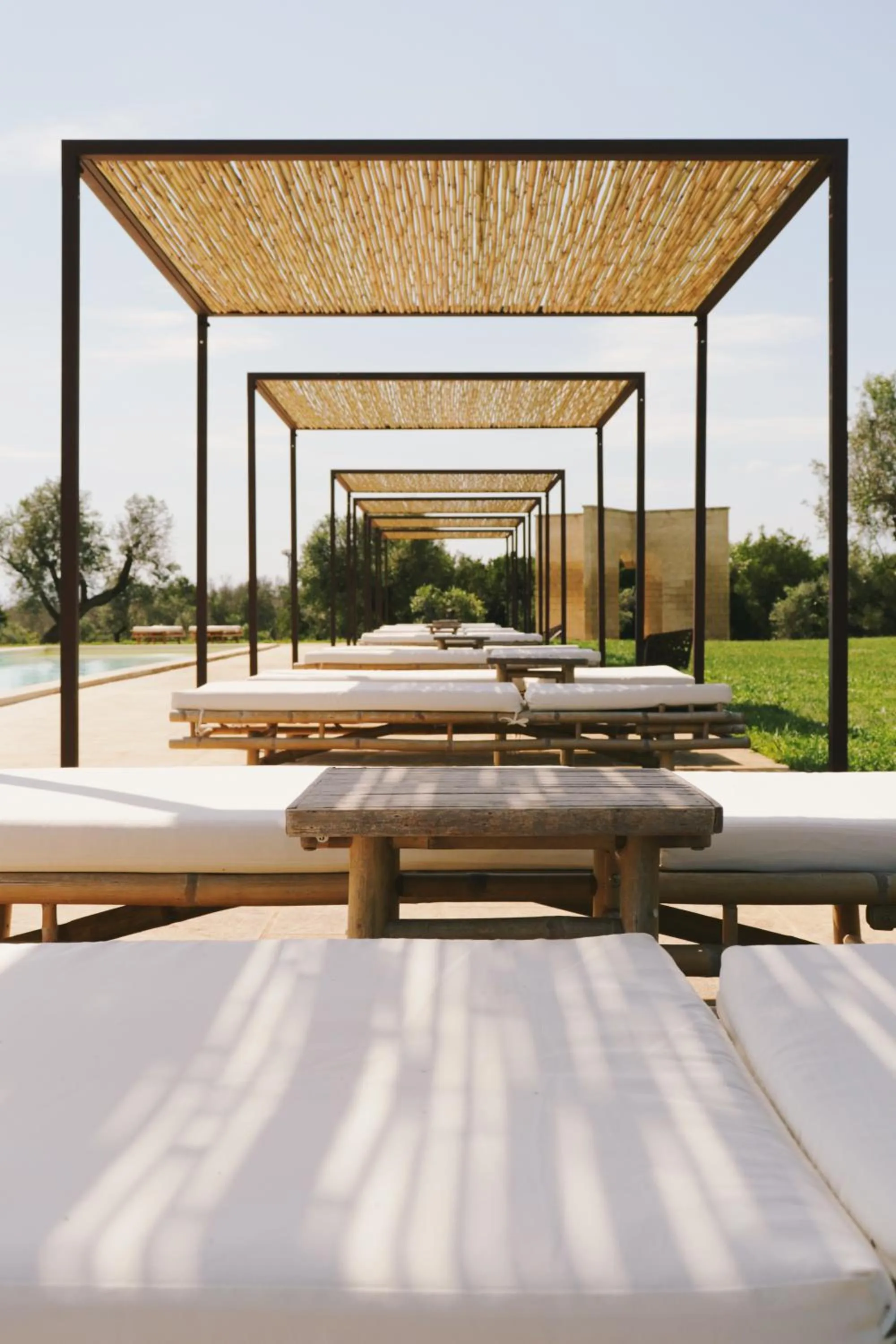 Natural landscape in Secolario Masseria del Viverbene