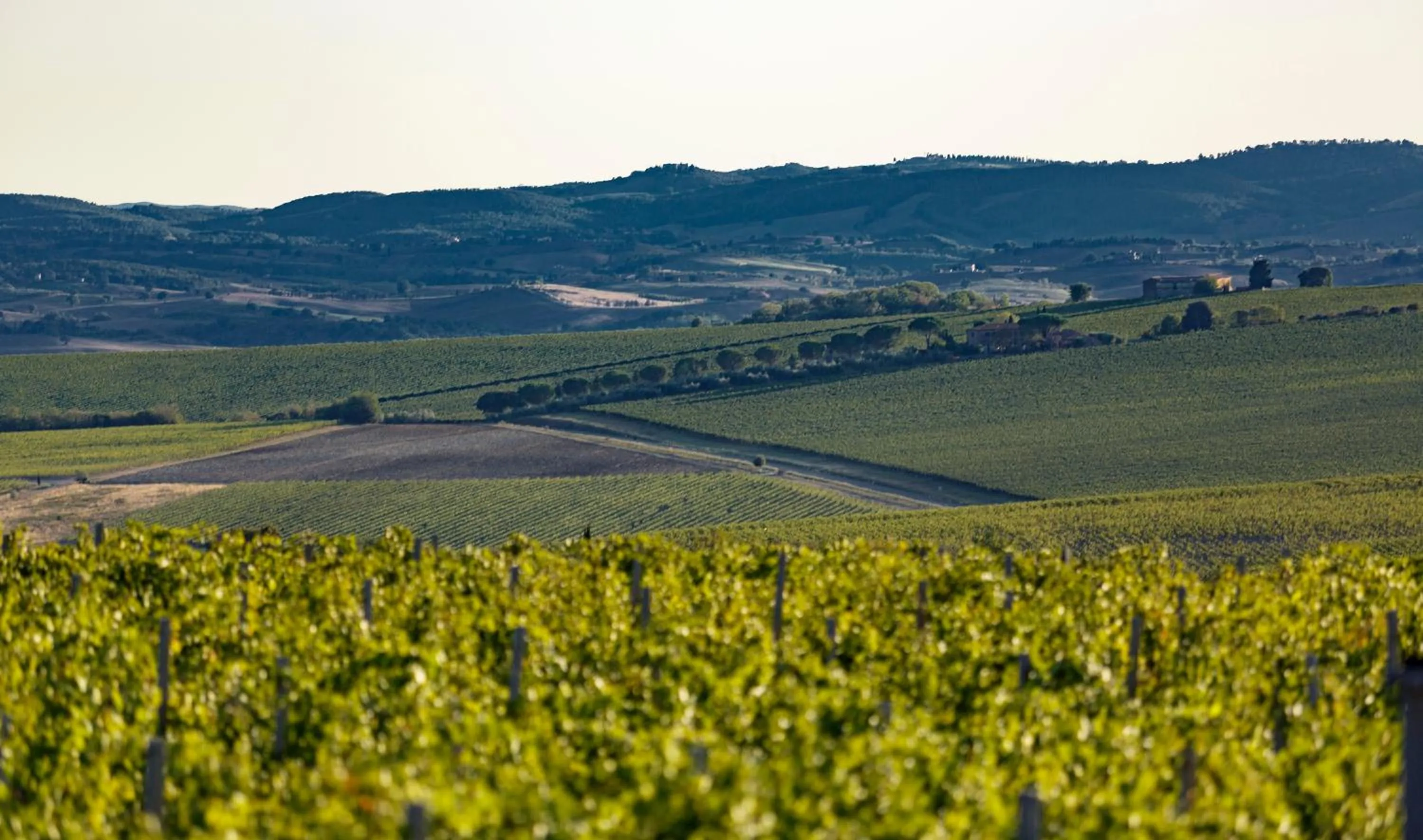 Natural landscape in Wine Relais In Montecucco - ColleMassari Hospitality