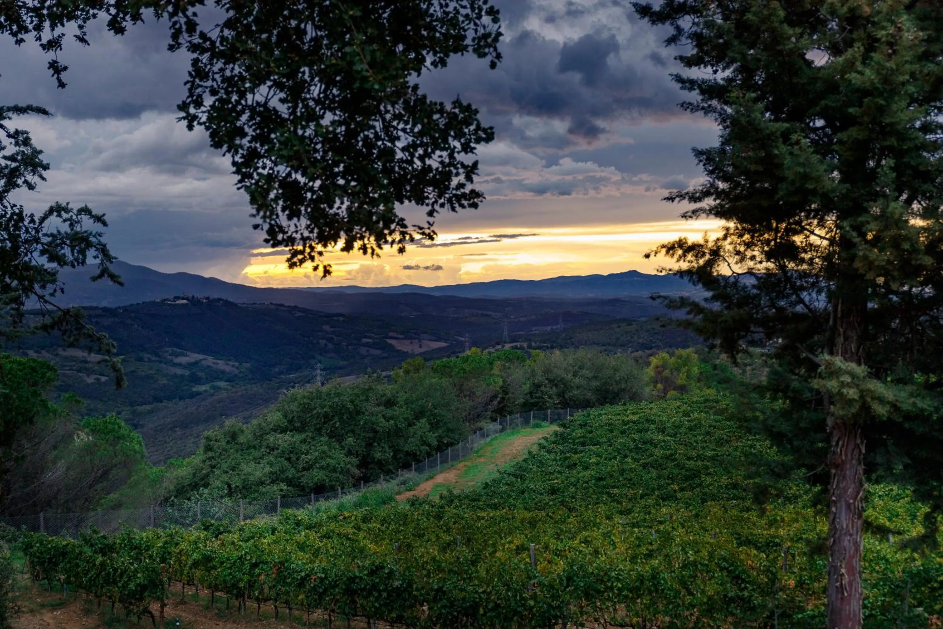 Natural landscape in Wine Relais In Montecucco - ColleMassari Hospitality