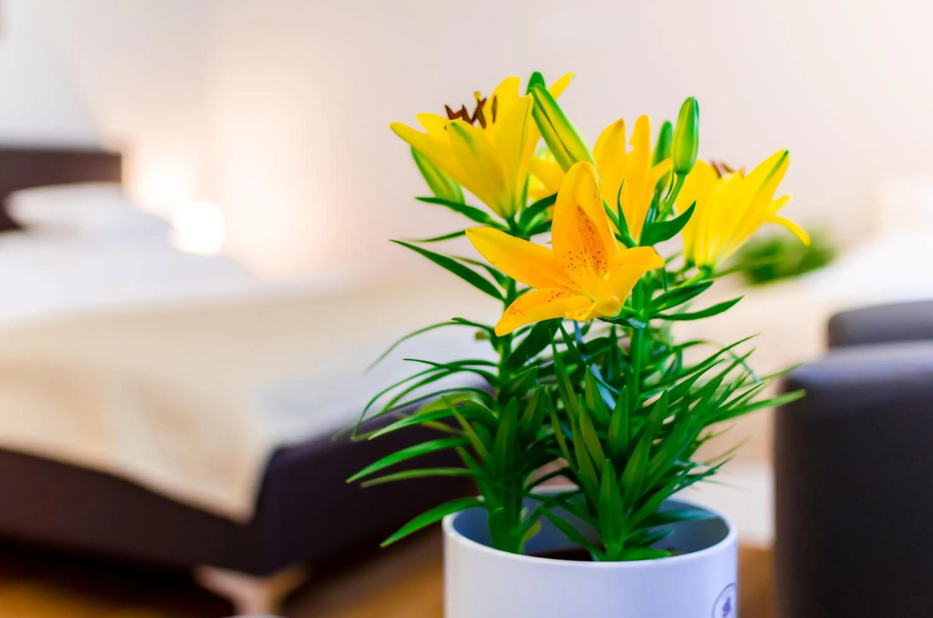 Bedroom, Bed in Anabelle Bed and Budapest